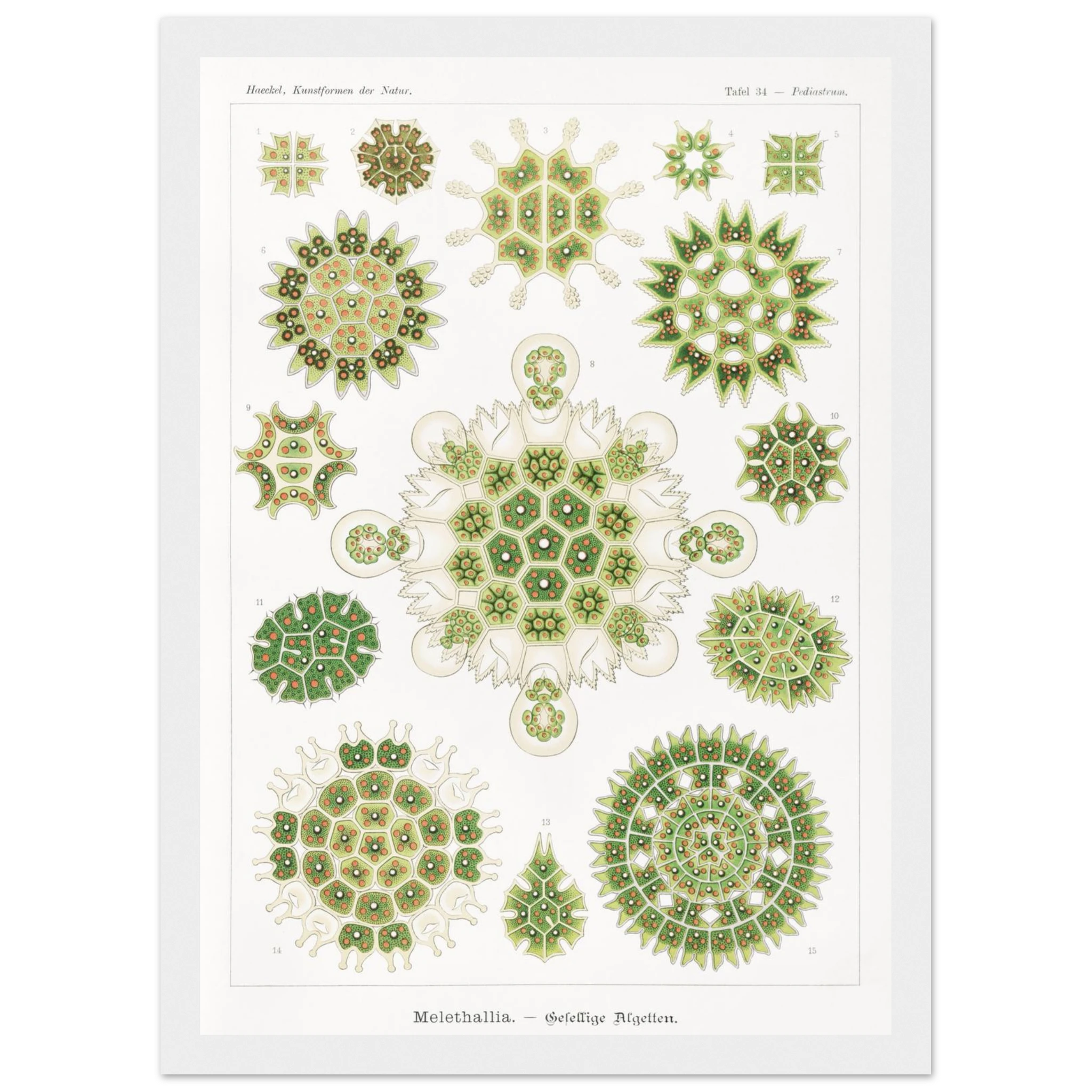 eaddf6e0-b41a-4992-87e4-04388d403dad