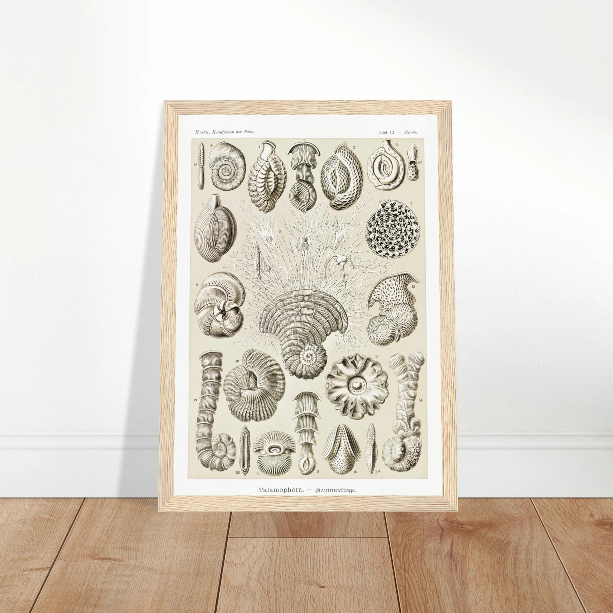 eaf6fc8d-4a3c-4c07-acc8-910fe9b678b9