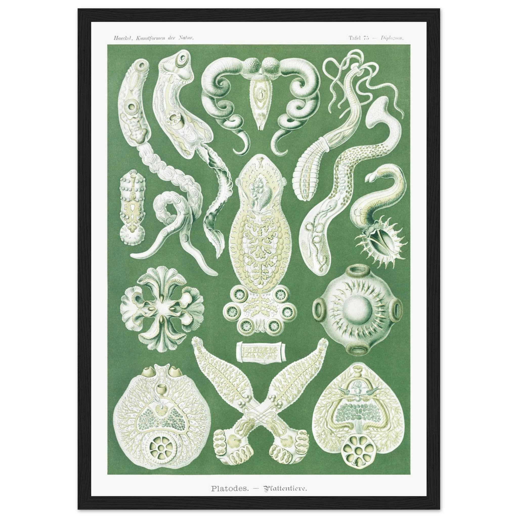 eafd0f74-6caf-440b-810c-3fb6d88a6ff7