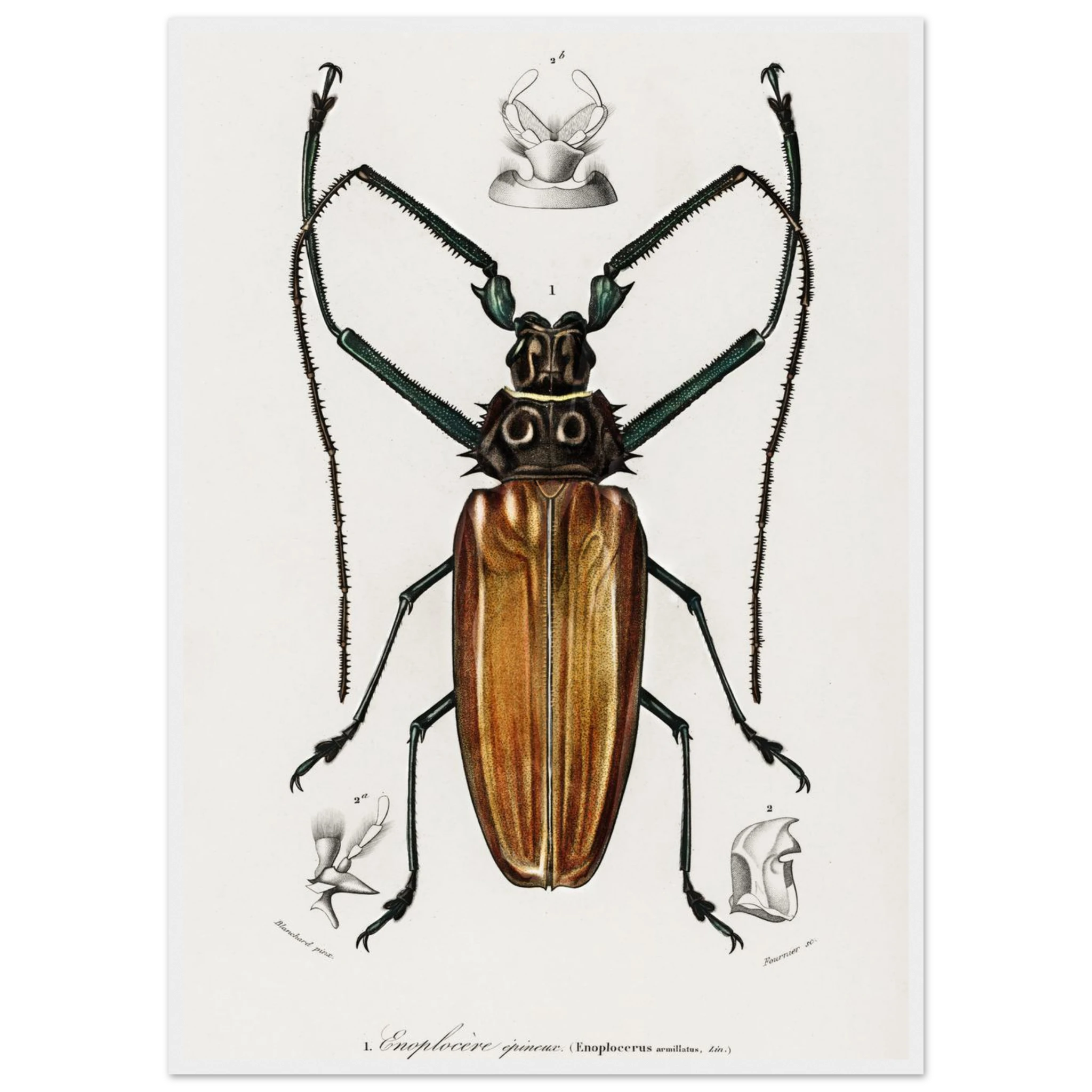 eb6457e7-c1ae-49c1-a60d-5e79541928ba