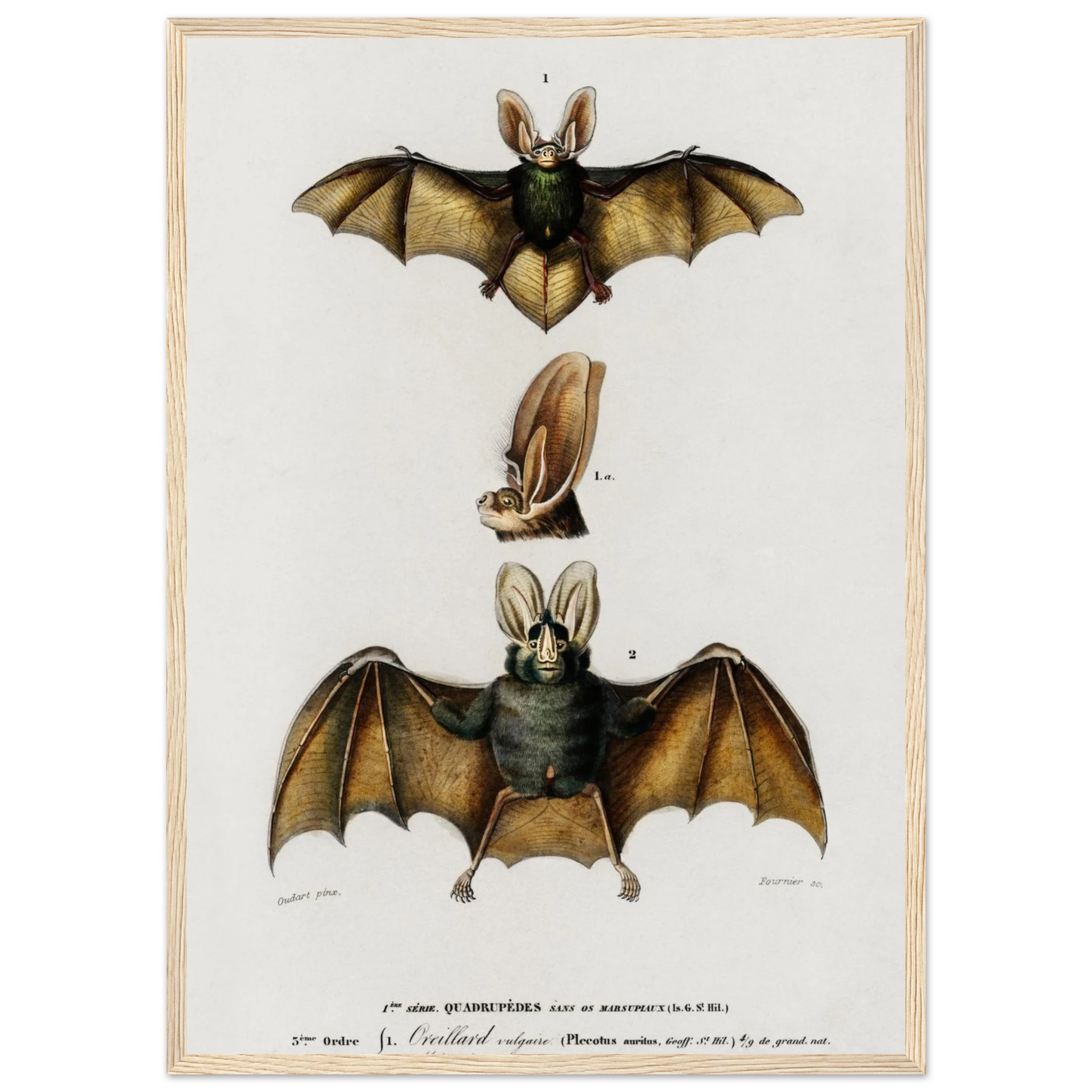 eb79a9b7-8ade-44e8-9d3d-a316fabe52cd