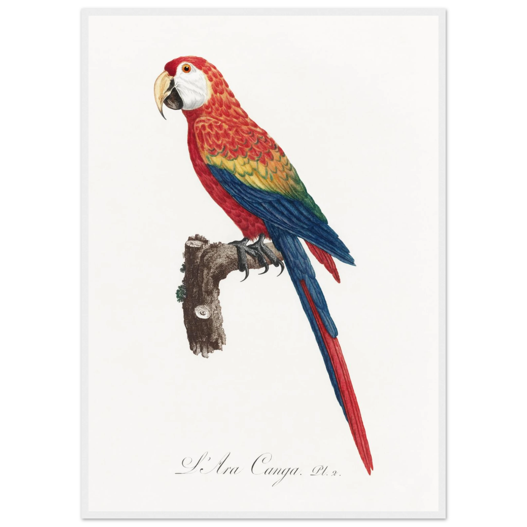 ec0c543f-3032-4970-b61e-904066b9b143