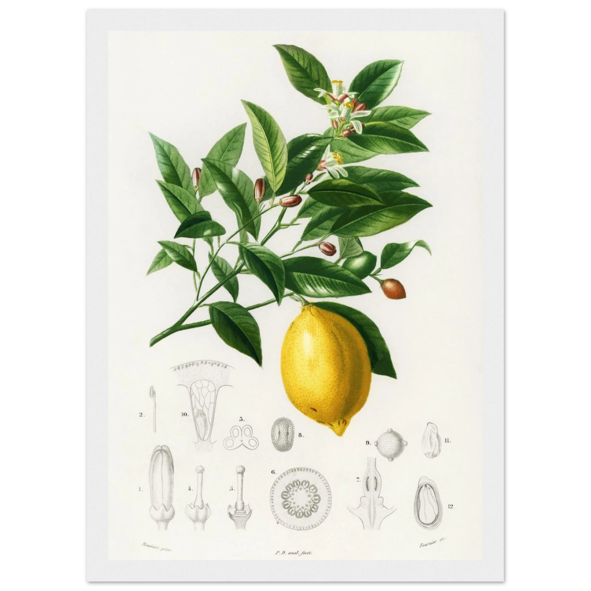 ec39ff54-6725-4616-8900-6baf2130a8d0