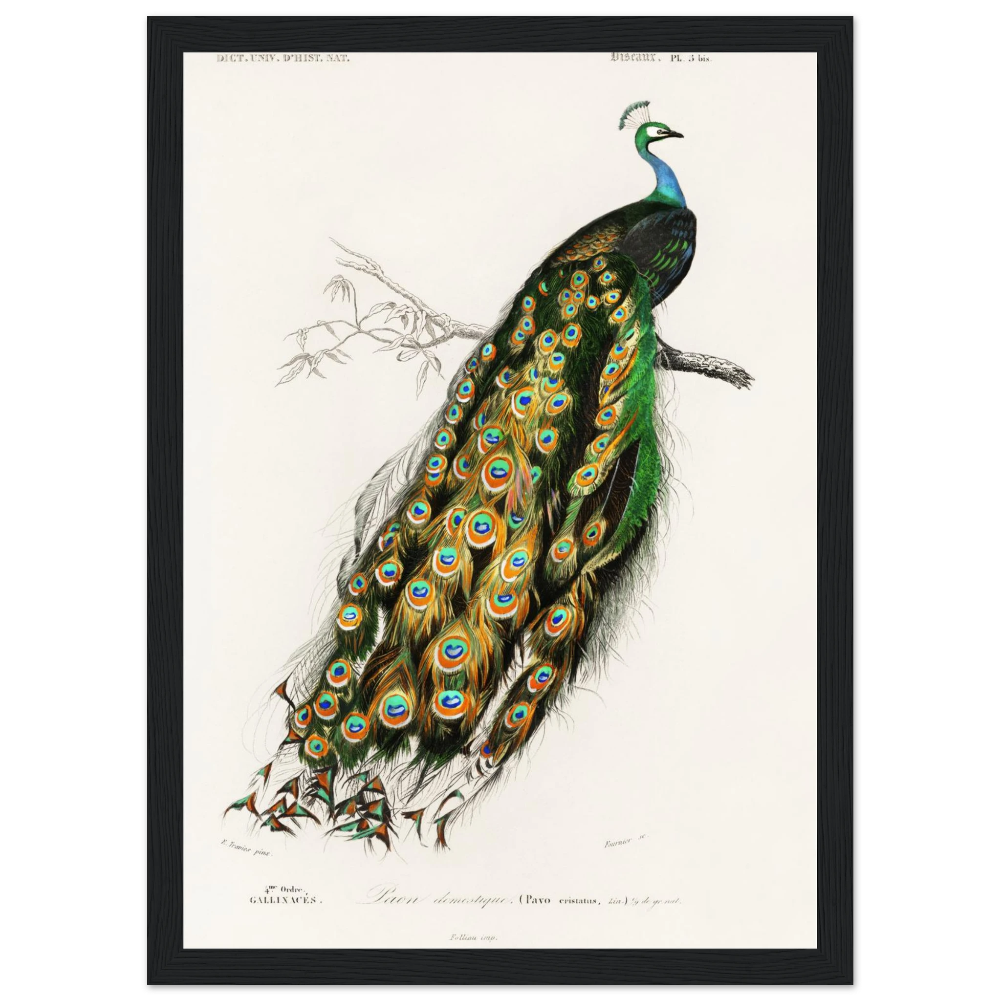 ec715bcd-a800-4c1f-a0de-2152c085fba2