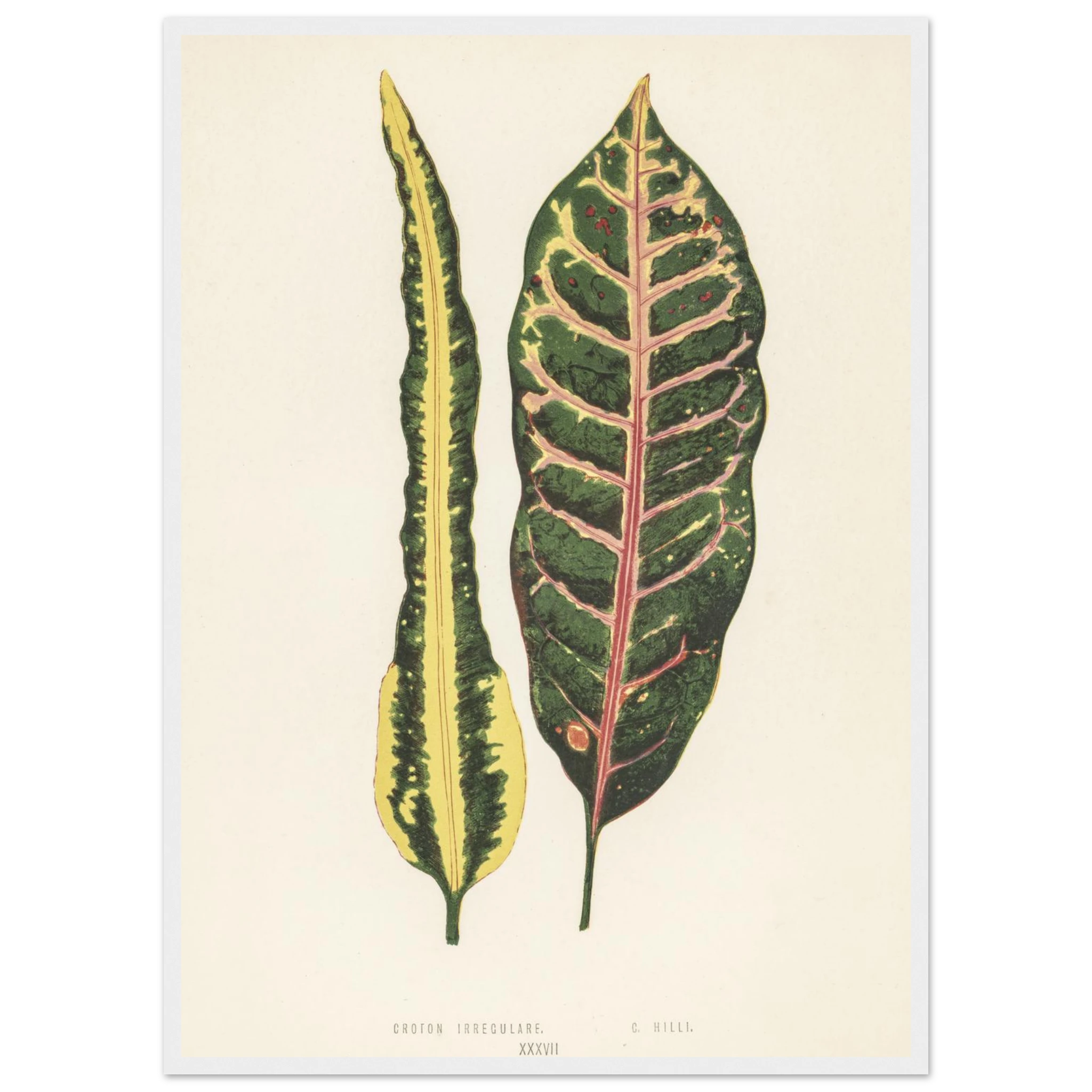 ecf09598-ea20-4c1f-b0db-78dffb6d3b3c