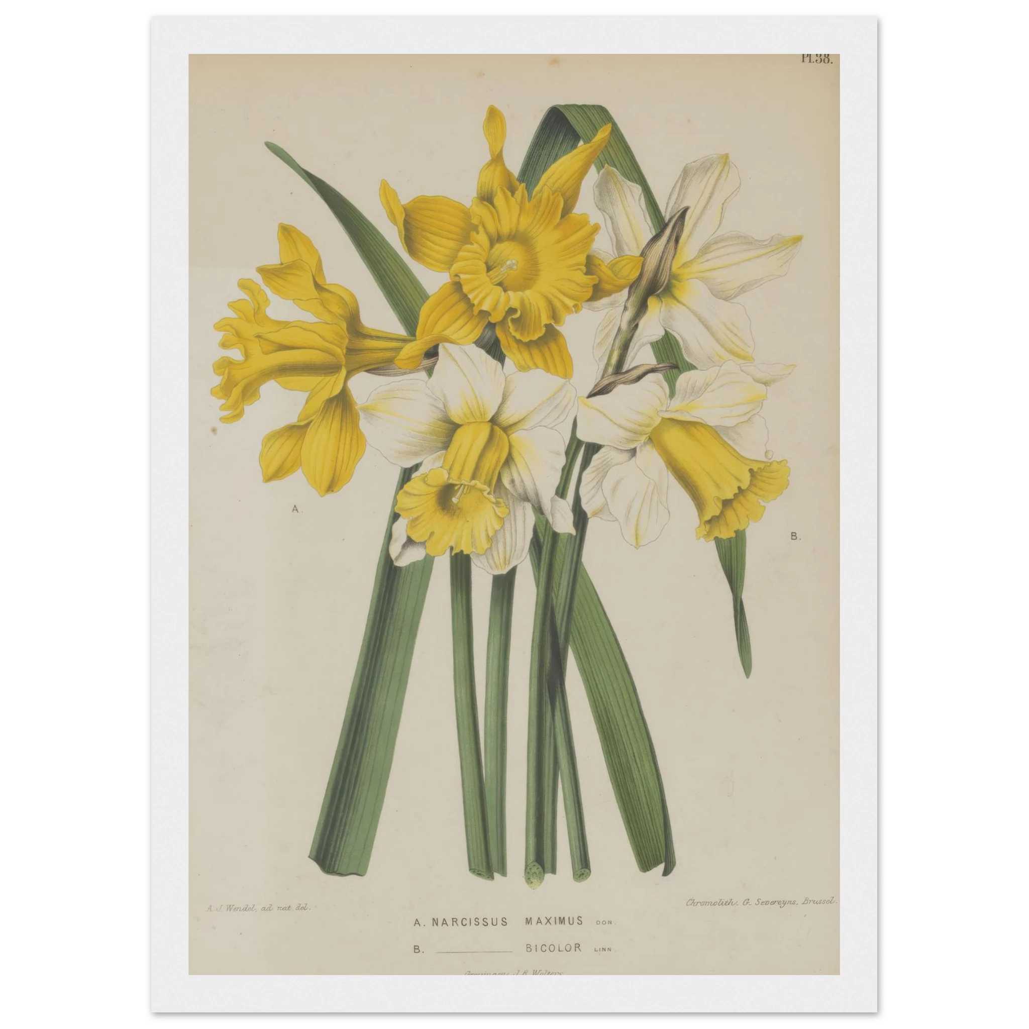 ed5c674e-aa5c-4c48-a861-4e467bc31019