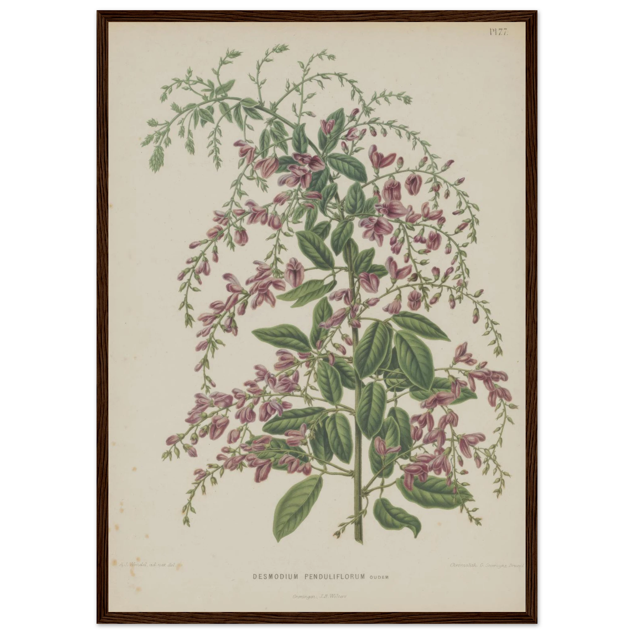 ed939251-08eb-47e6-a732-1215462633d1