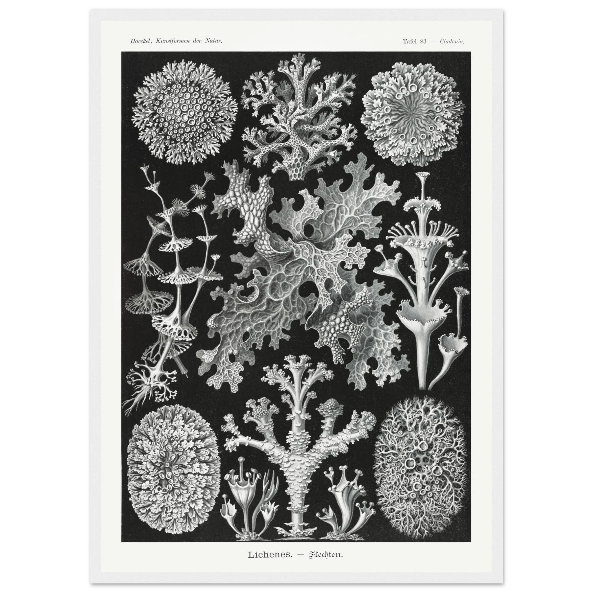 edad508f-de4c-4d30-ac36-ed18e8282147