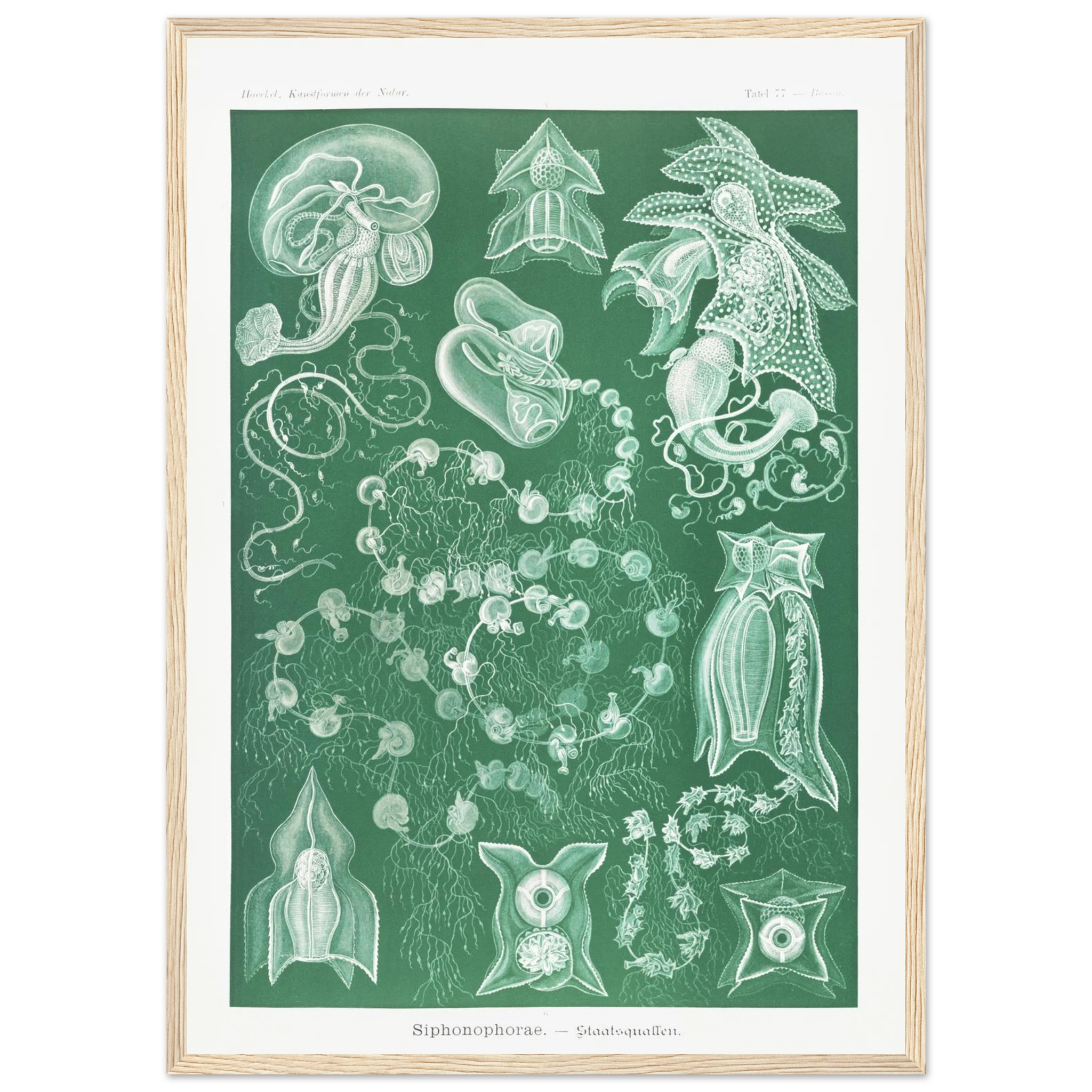 edaf92ab-4f25-40d3-8a25-773a47b224ca