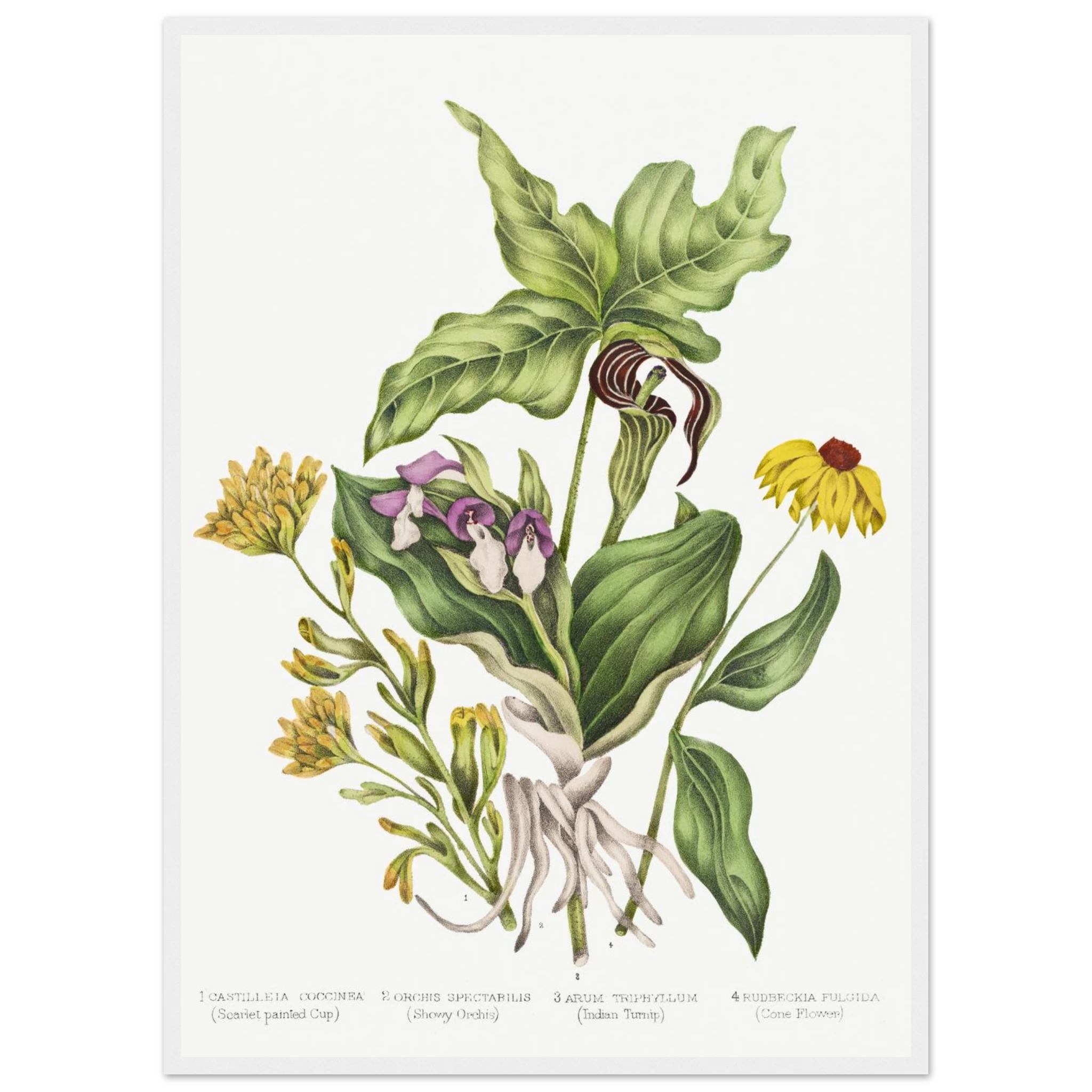 edb8f031-0fbc-4ceb-ae4b-979748ff5a28