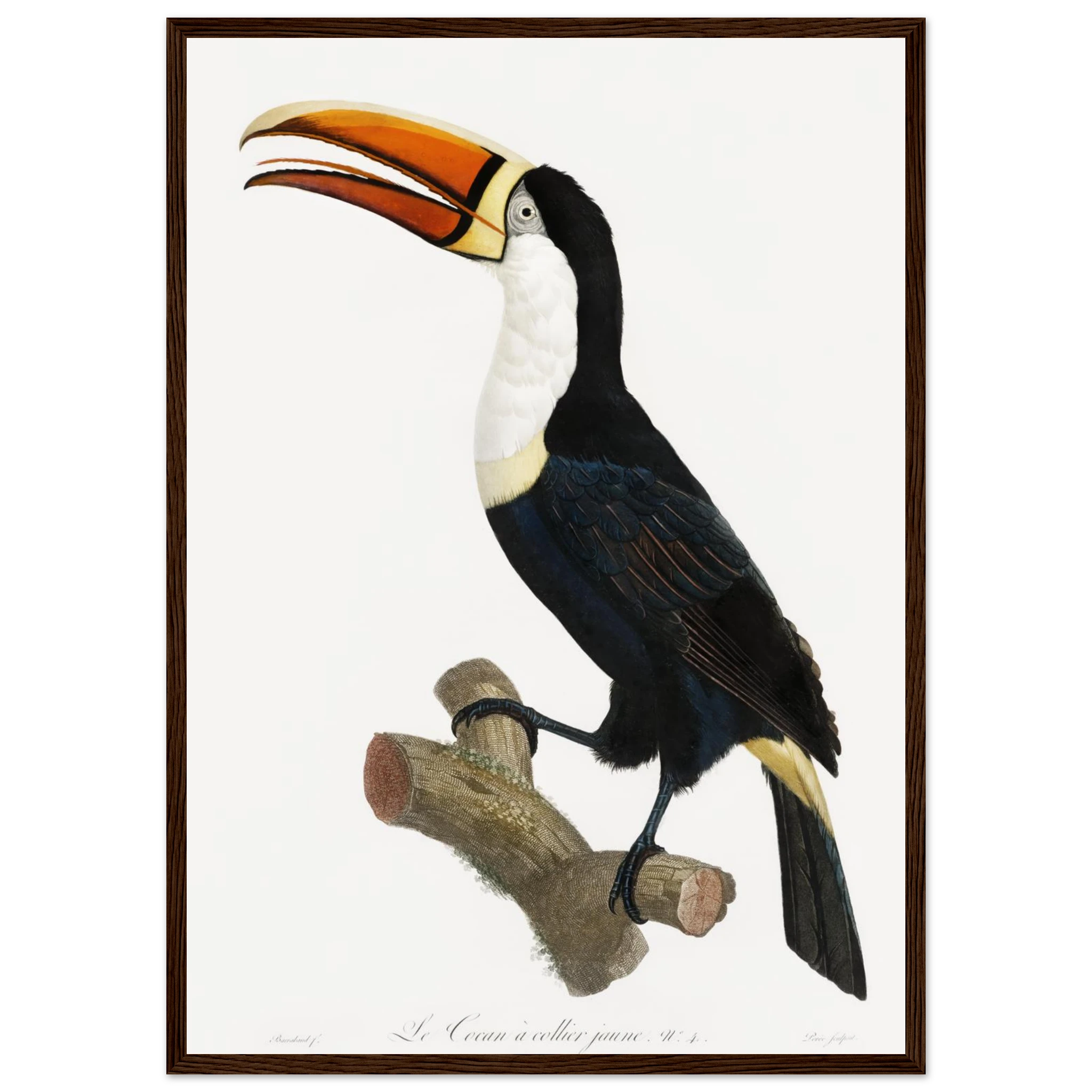 edd1e4b9-ad55-40fc-955b-512f69293263