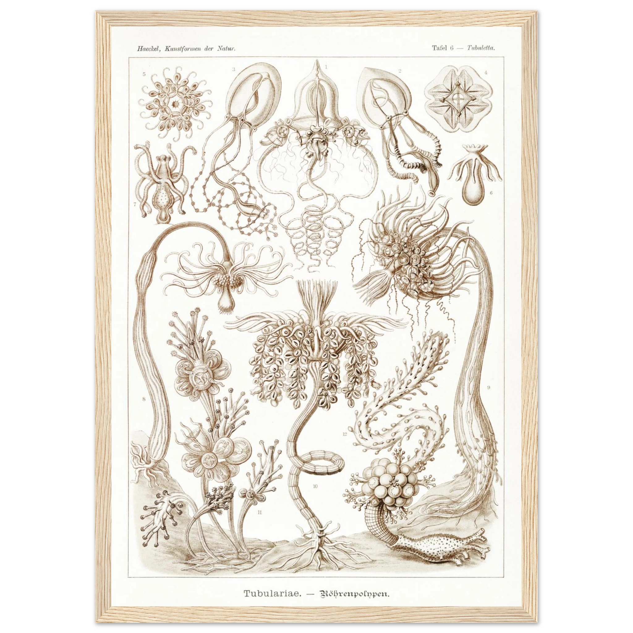 ee2badd4-e6dc-4fa0-bf91-5aeda62c258b