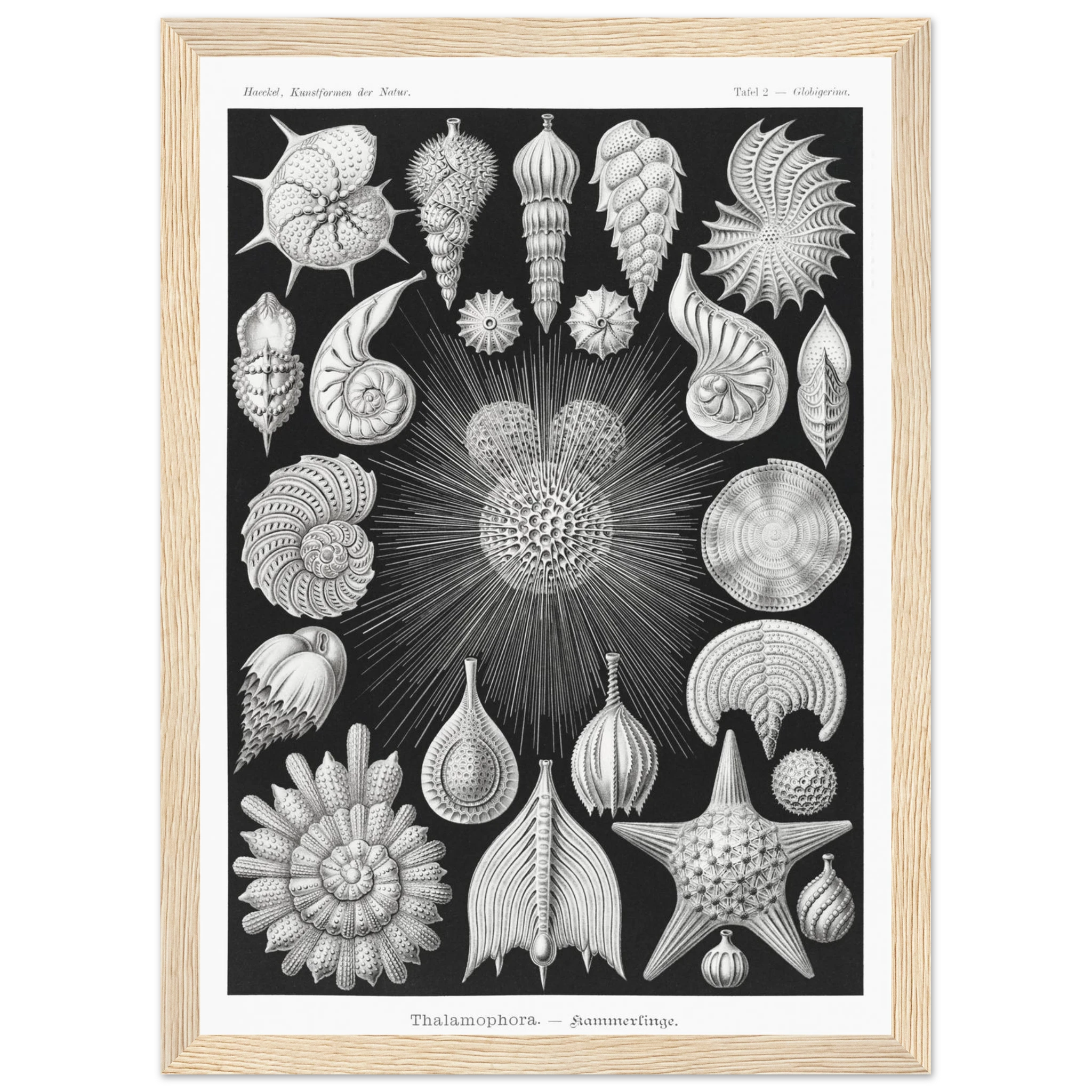 eecd9345-e662-4606-908a-57bc68dcf2e0