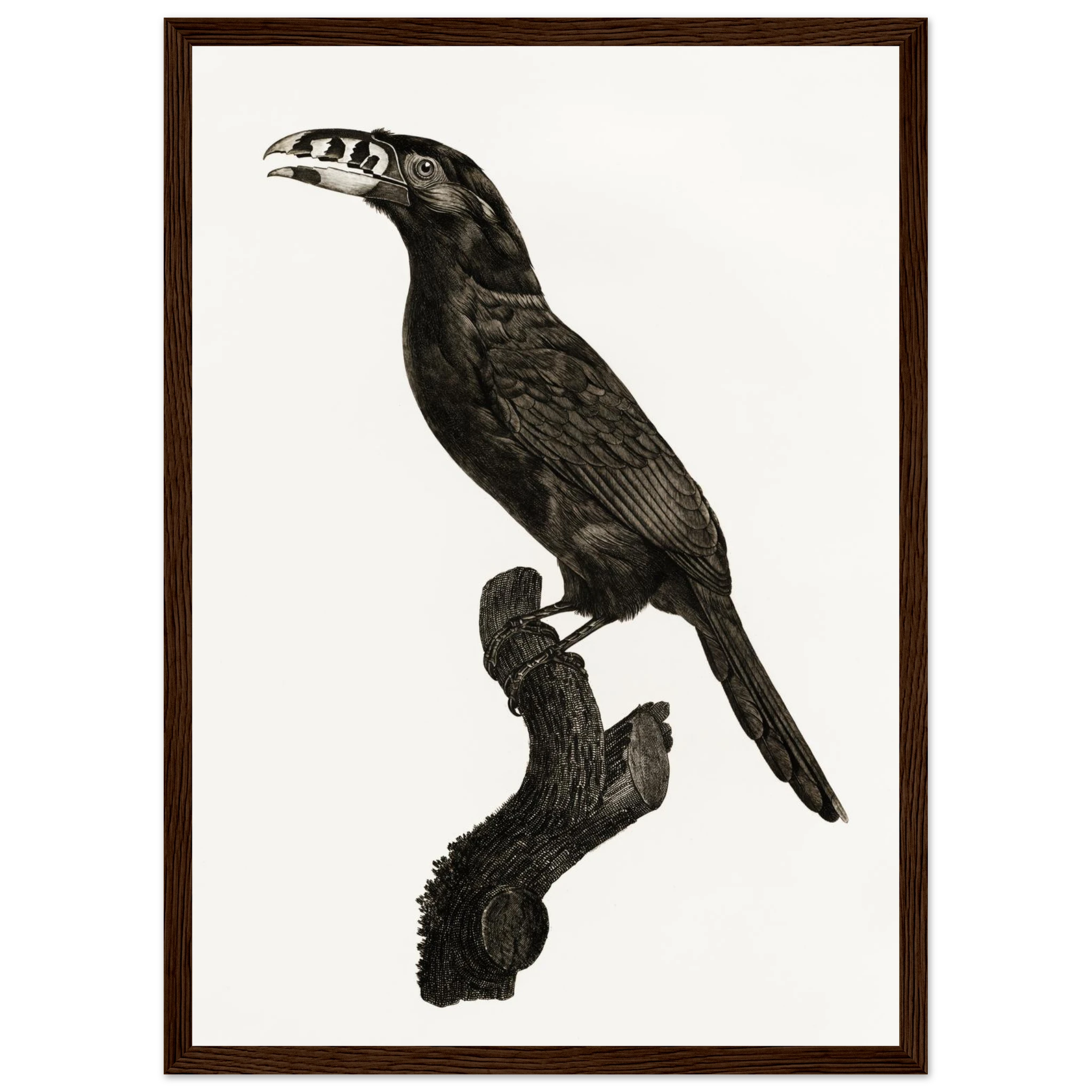 eee3697e-8660-46fa-8250-46e5acbc5dd3