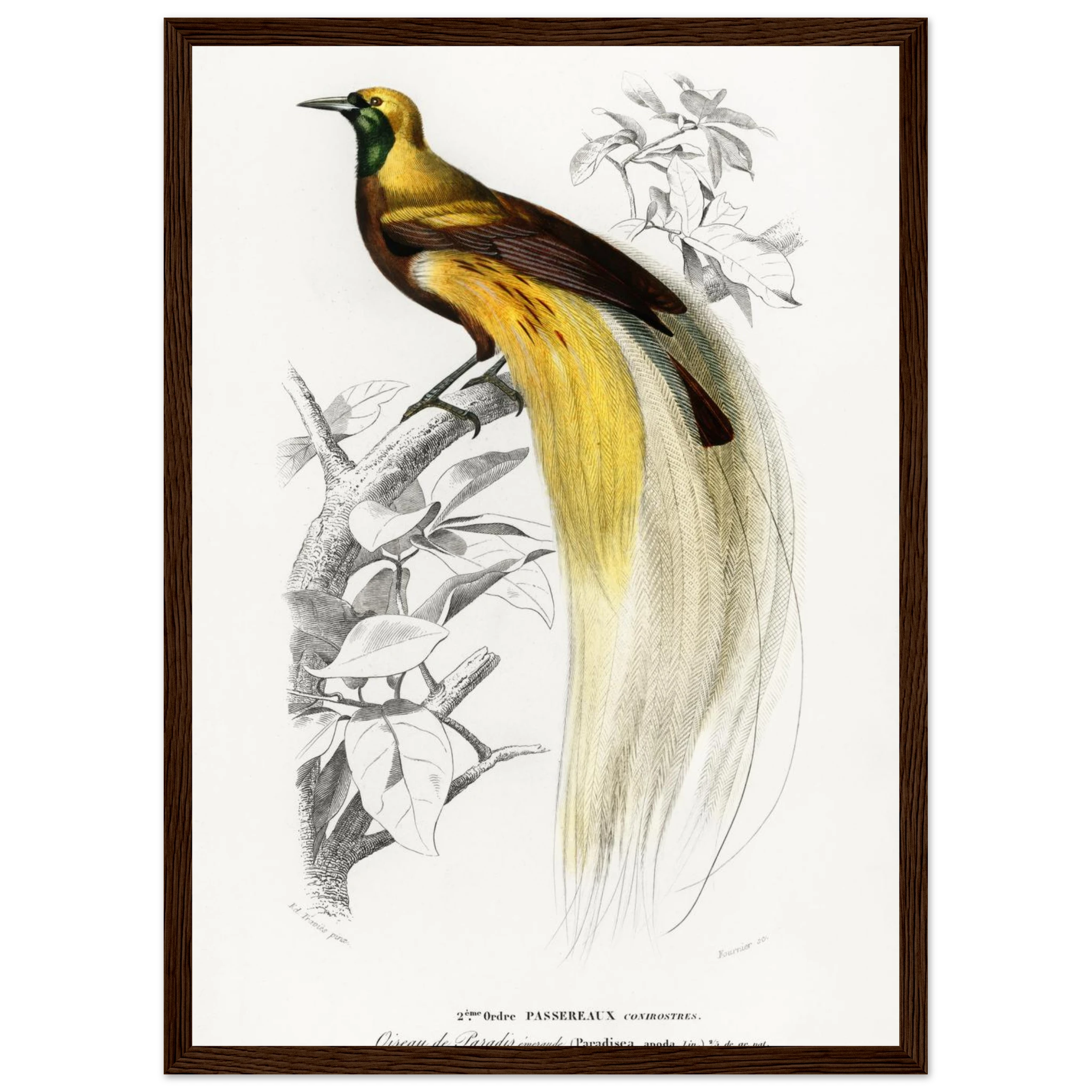 ef651975-b5a4-4153-9661-9da407745db0