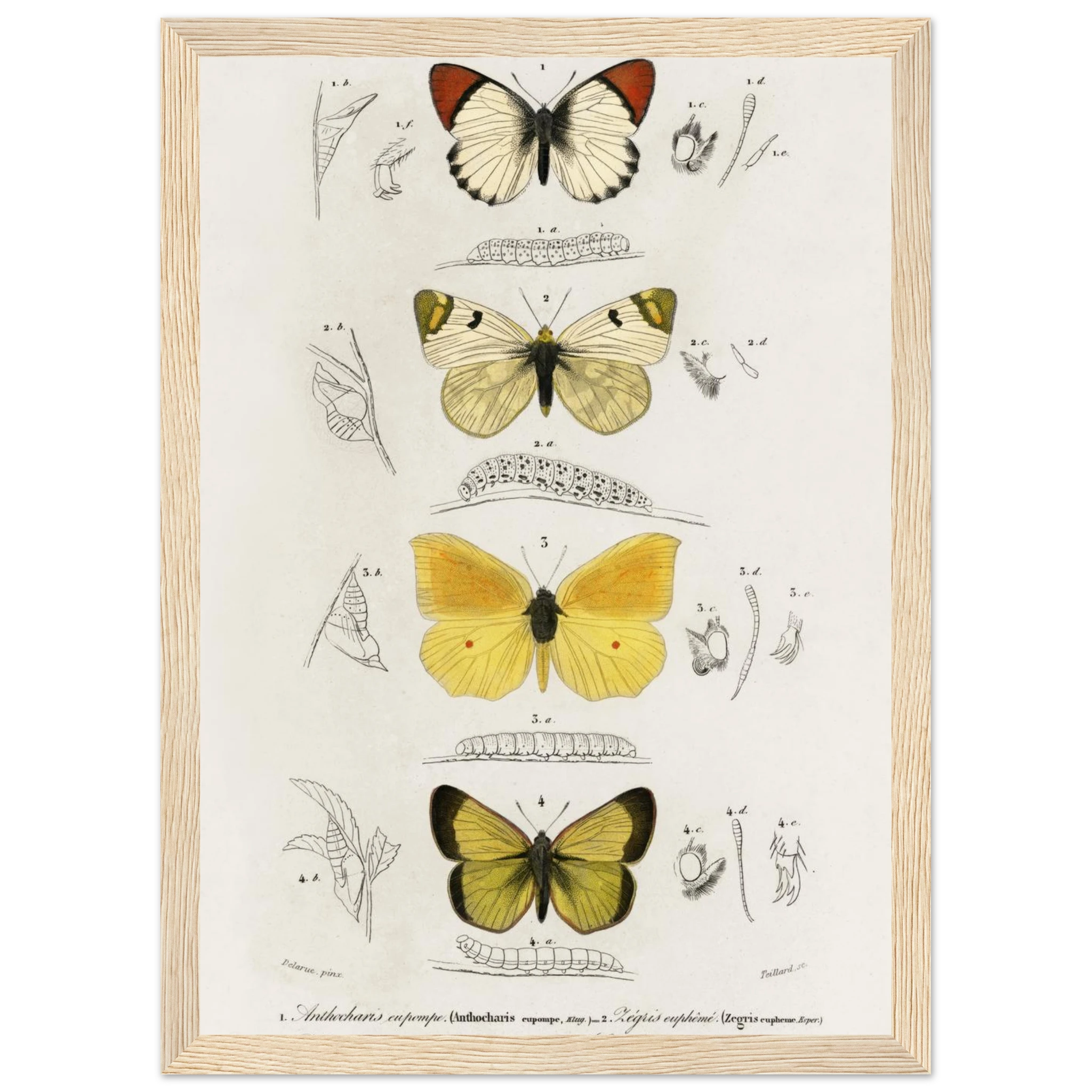 ef65633f-bf2b-4615-a4e6-d52ea73ce16f