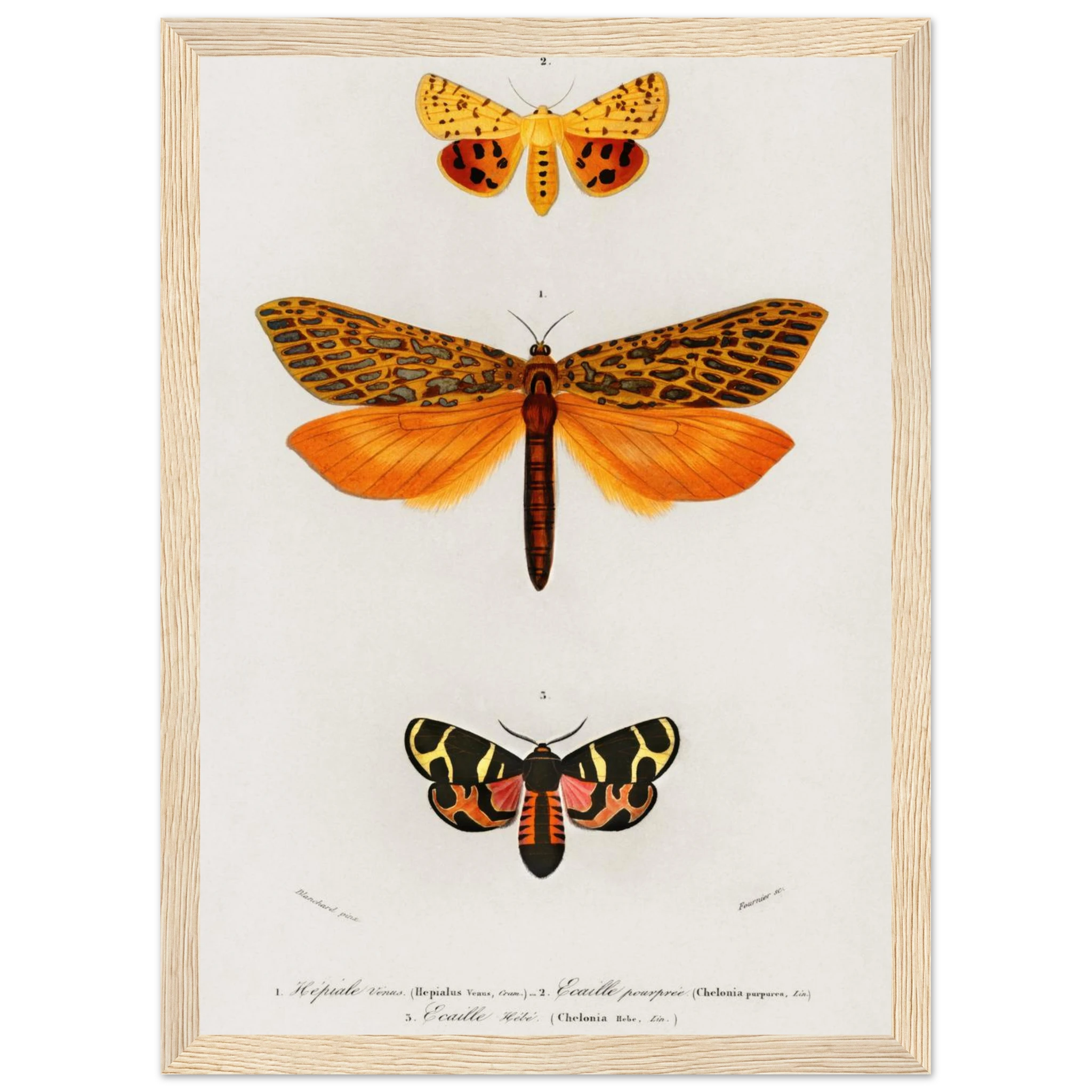 ef680c05-ffc4-4a2d-bf4d-4de45fea1ade