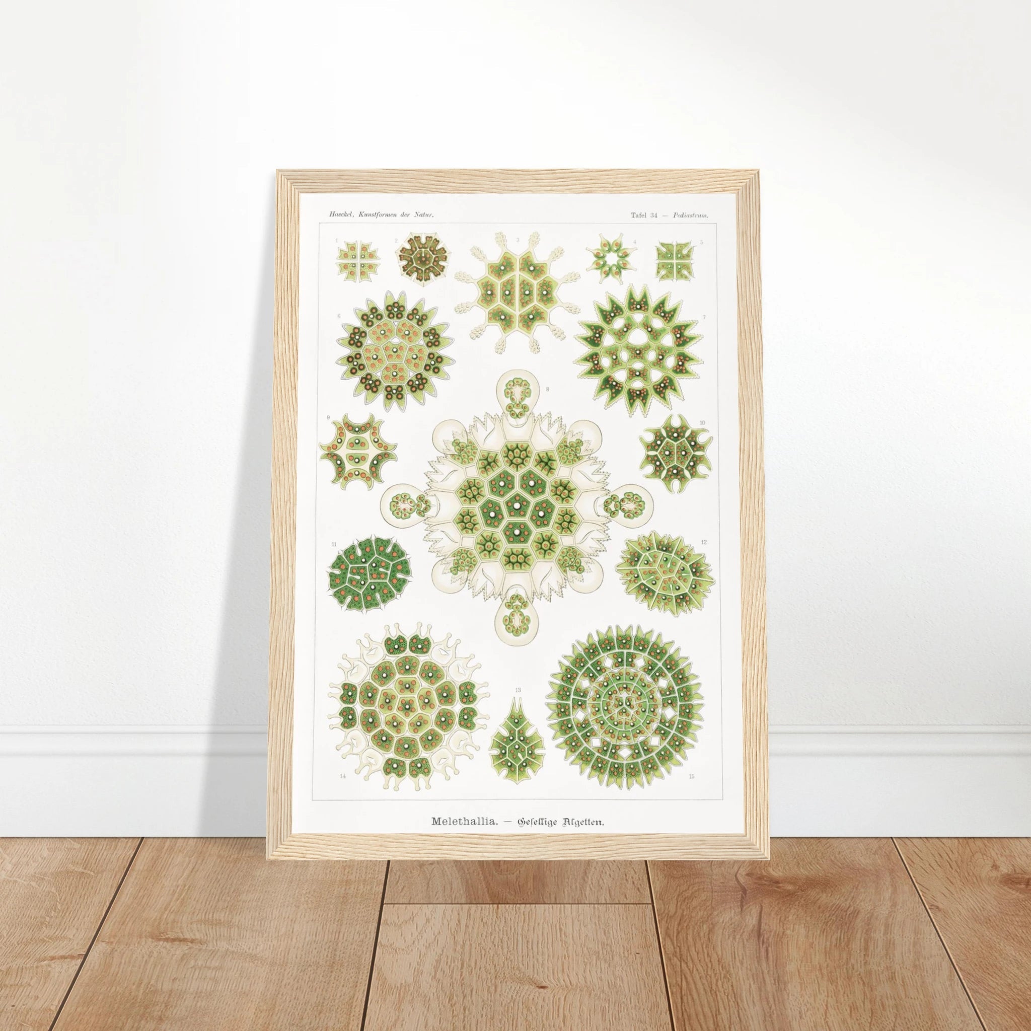 ef709a29-c2cc-4079-ae45-1b957c599a49