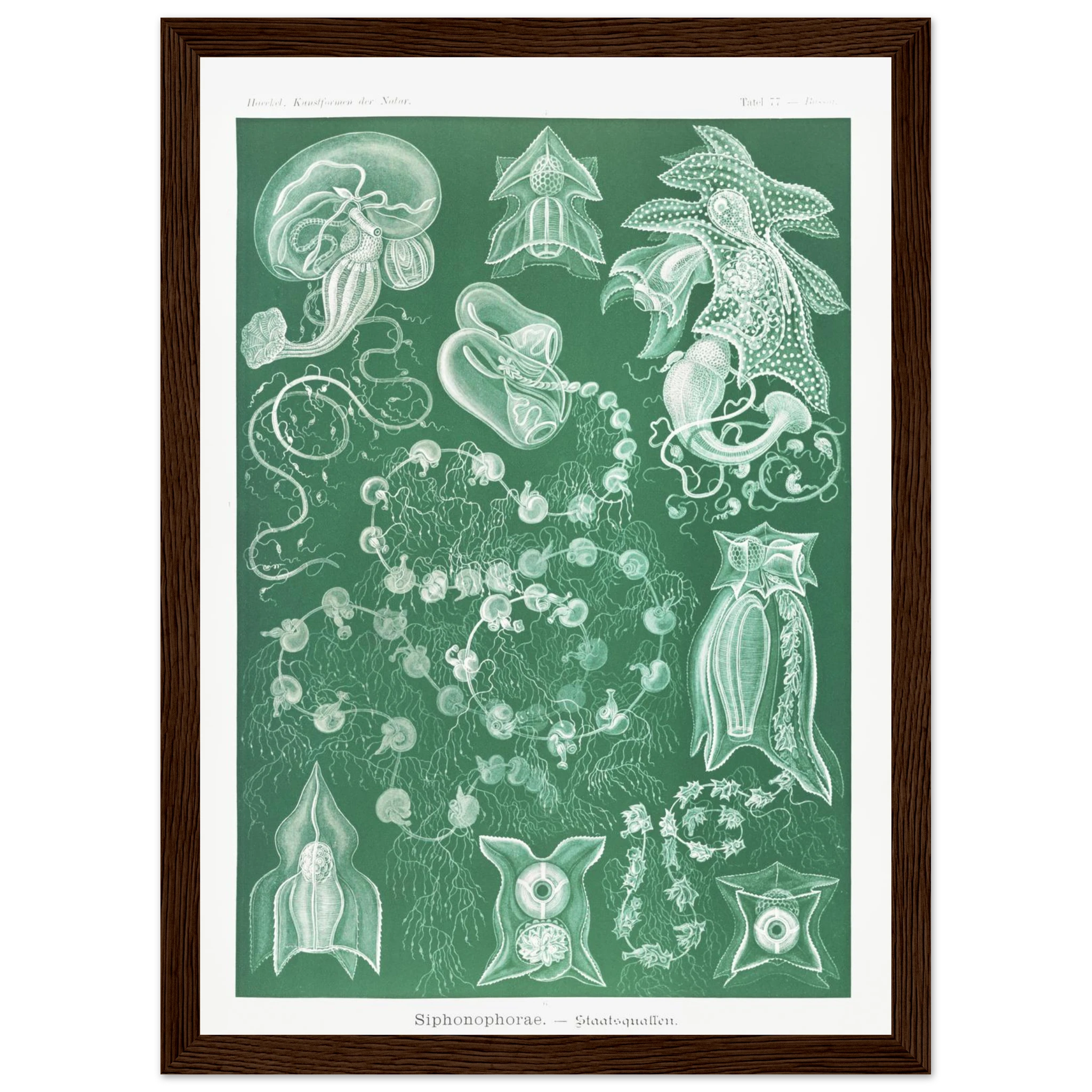 efabd48a-c574-4ede-a662-dab4fa3470bc