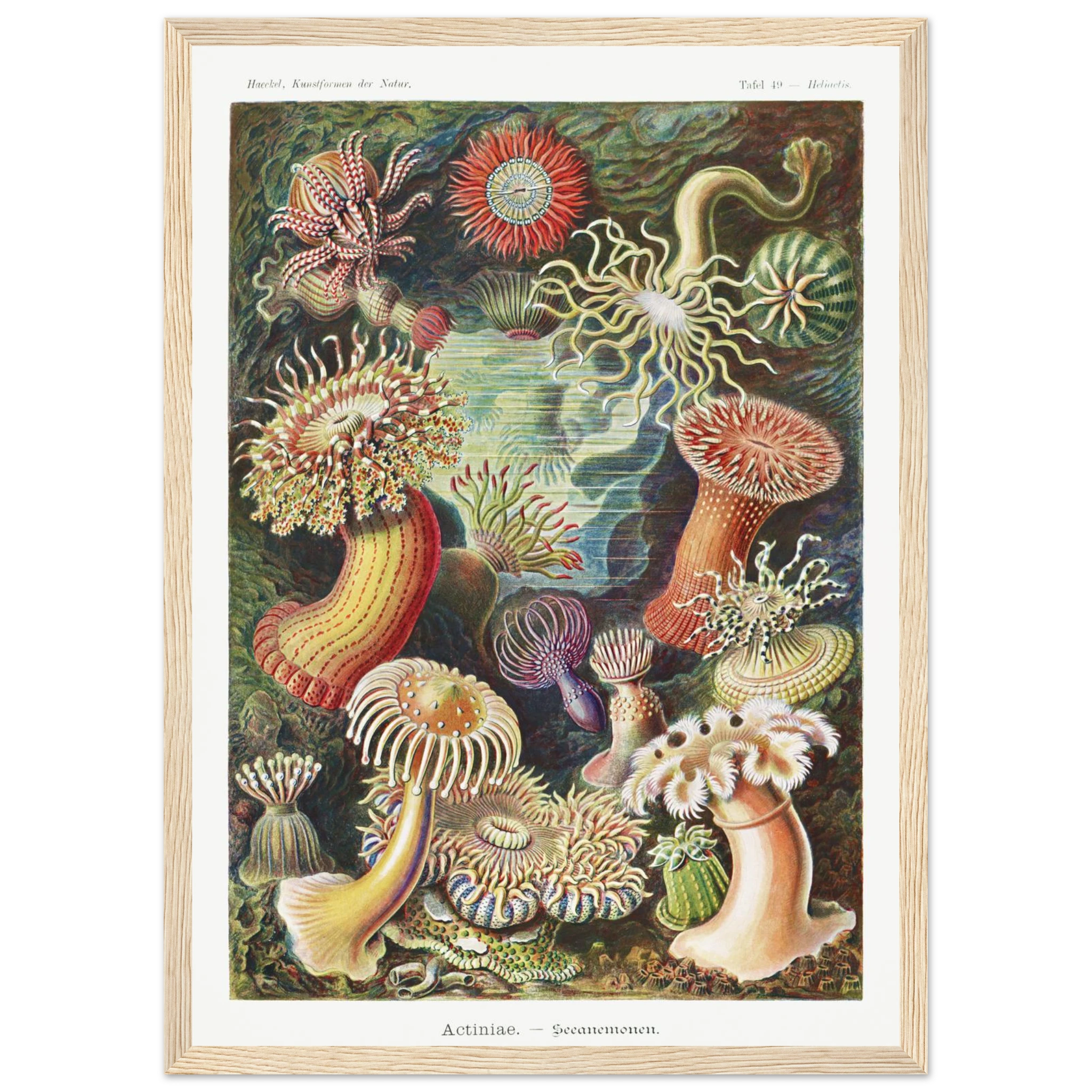 efe62e0f-f3a0-4cf2-8afa-1efecf695617