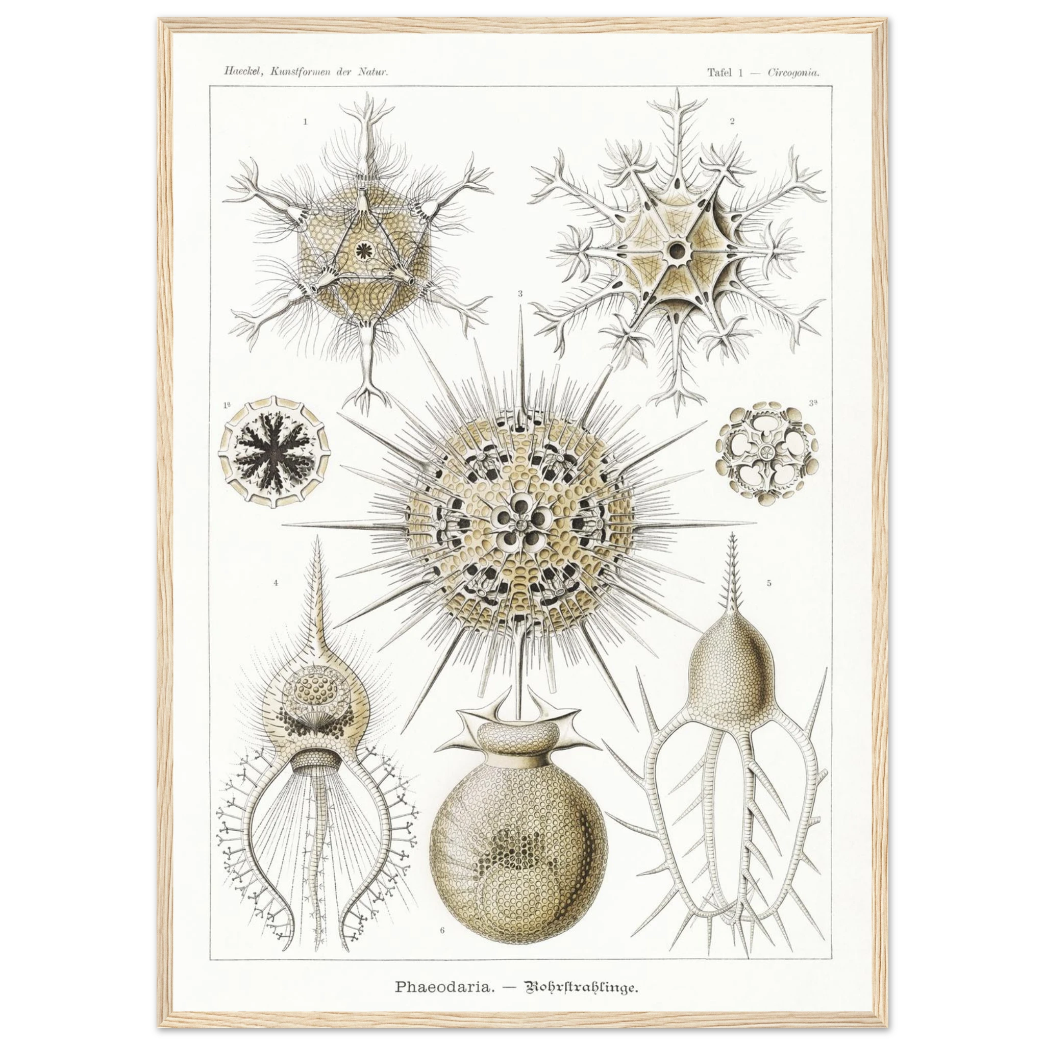 eff0a3a1-330e-4aeb-99aa-1dfeb68d7bd6