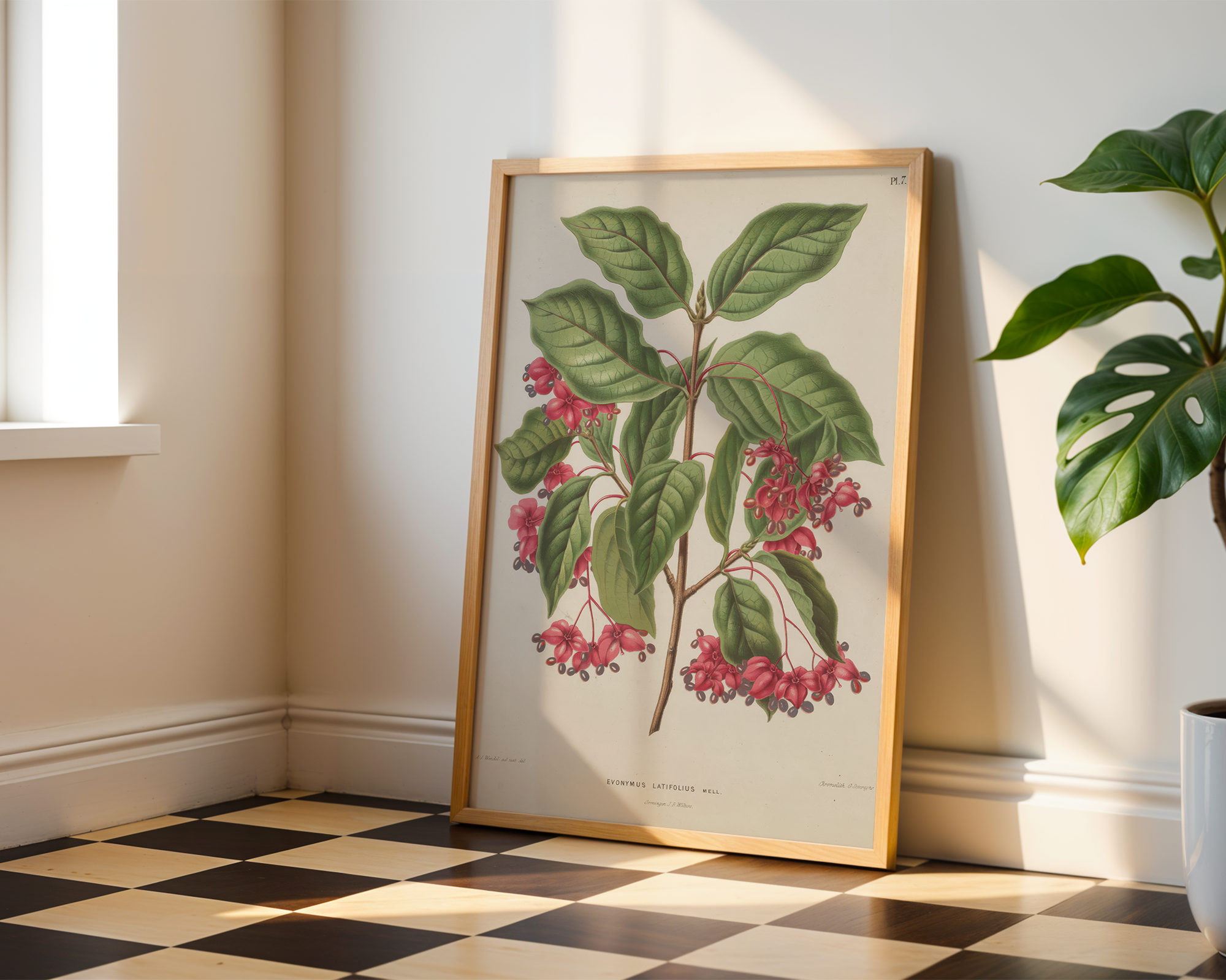 euonymus-europaeus-var-latifolius-l-a-j-wendel mockup