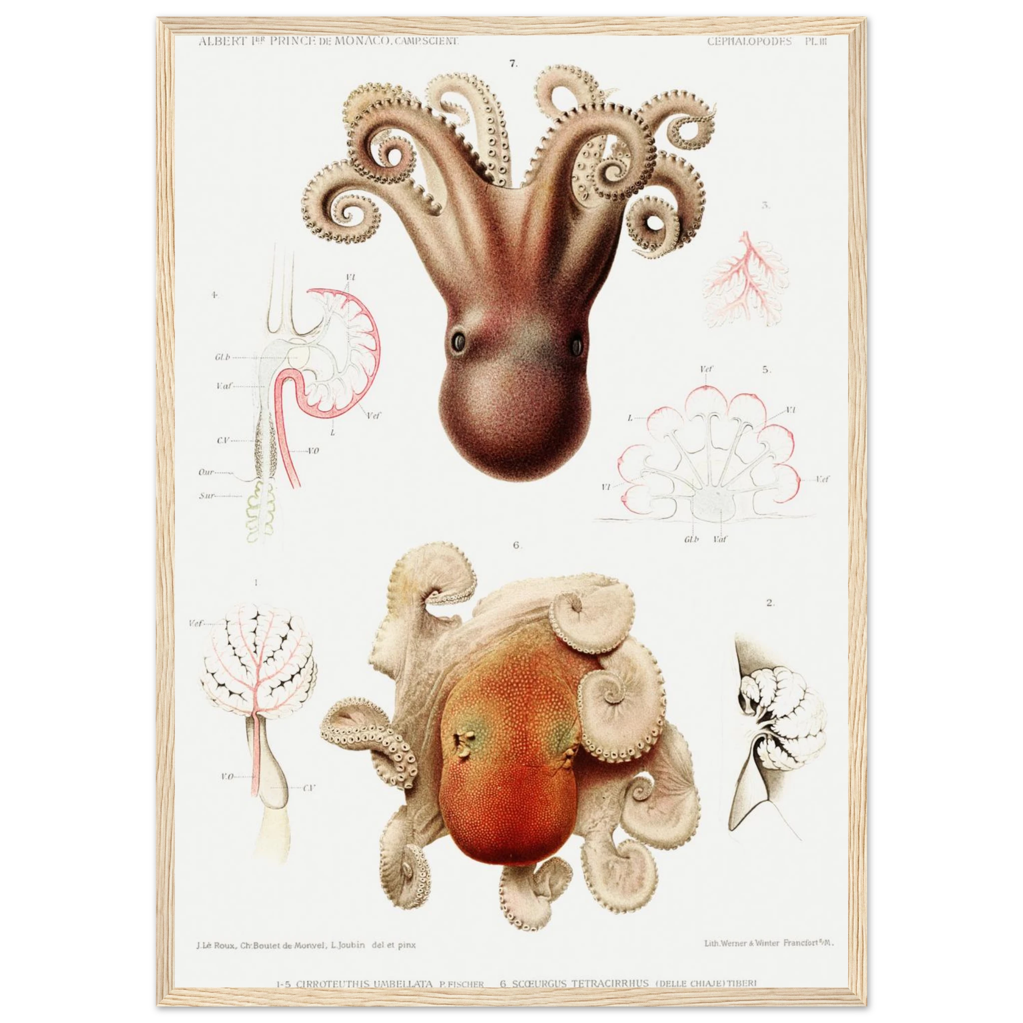 f00906d3-c2a0-4bba-a0cf-2f296512d129