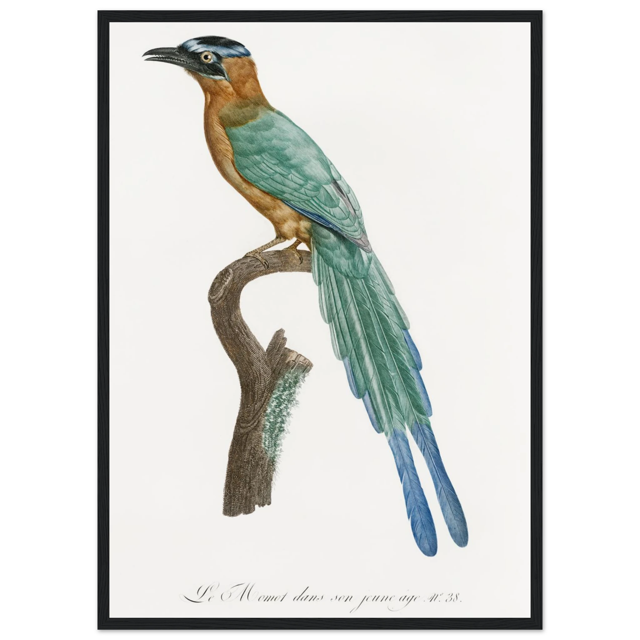 f03147ce-b6b6-48f6-98c8-30d30447dde4