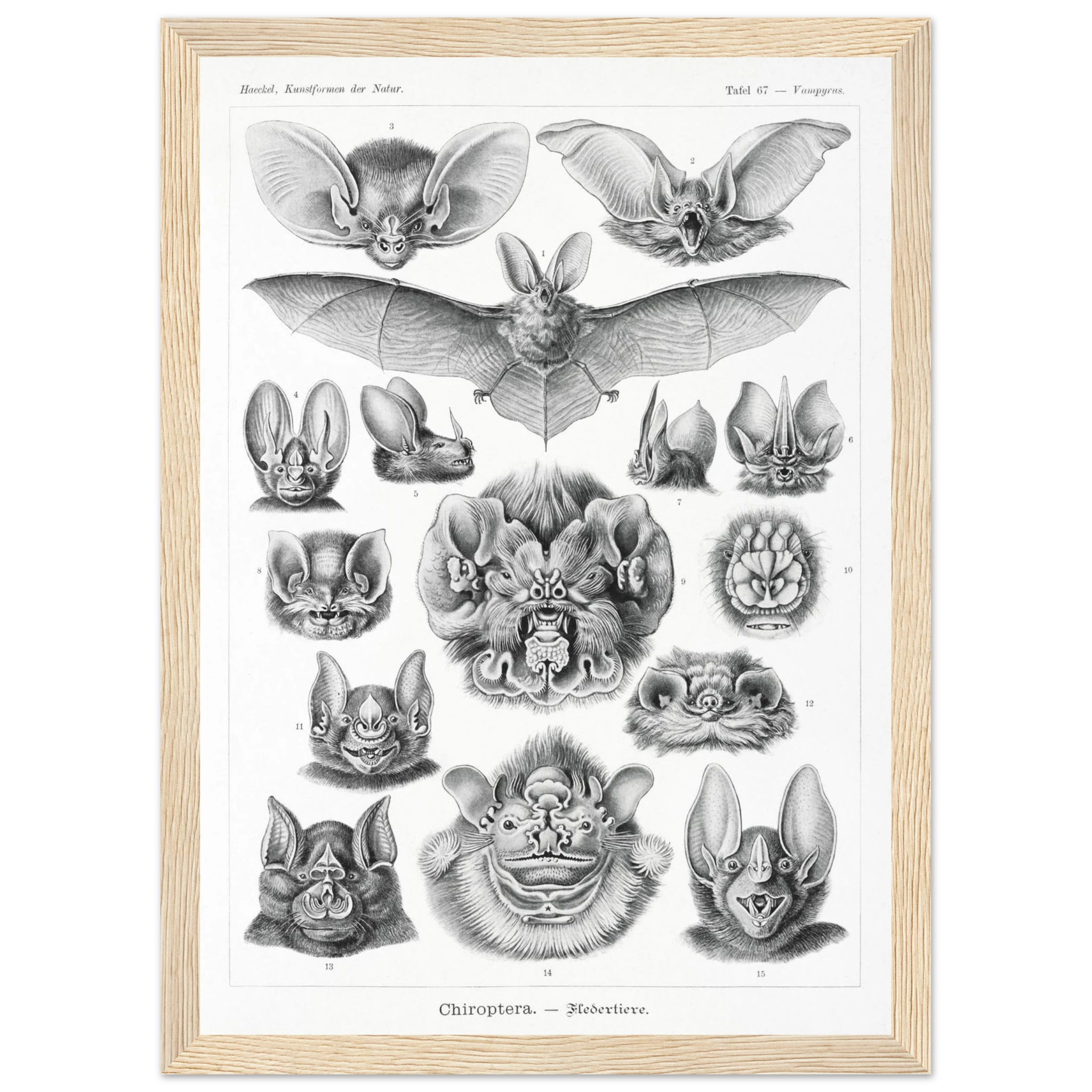 f09ffe78-ebce-4237-b815-cf5e31bcb23c