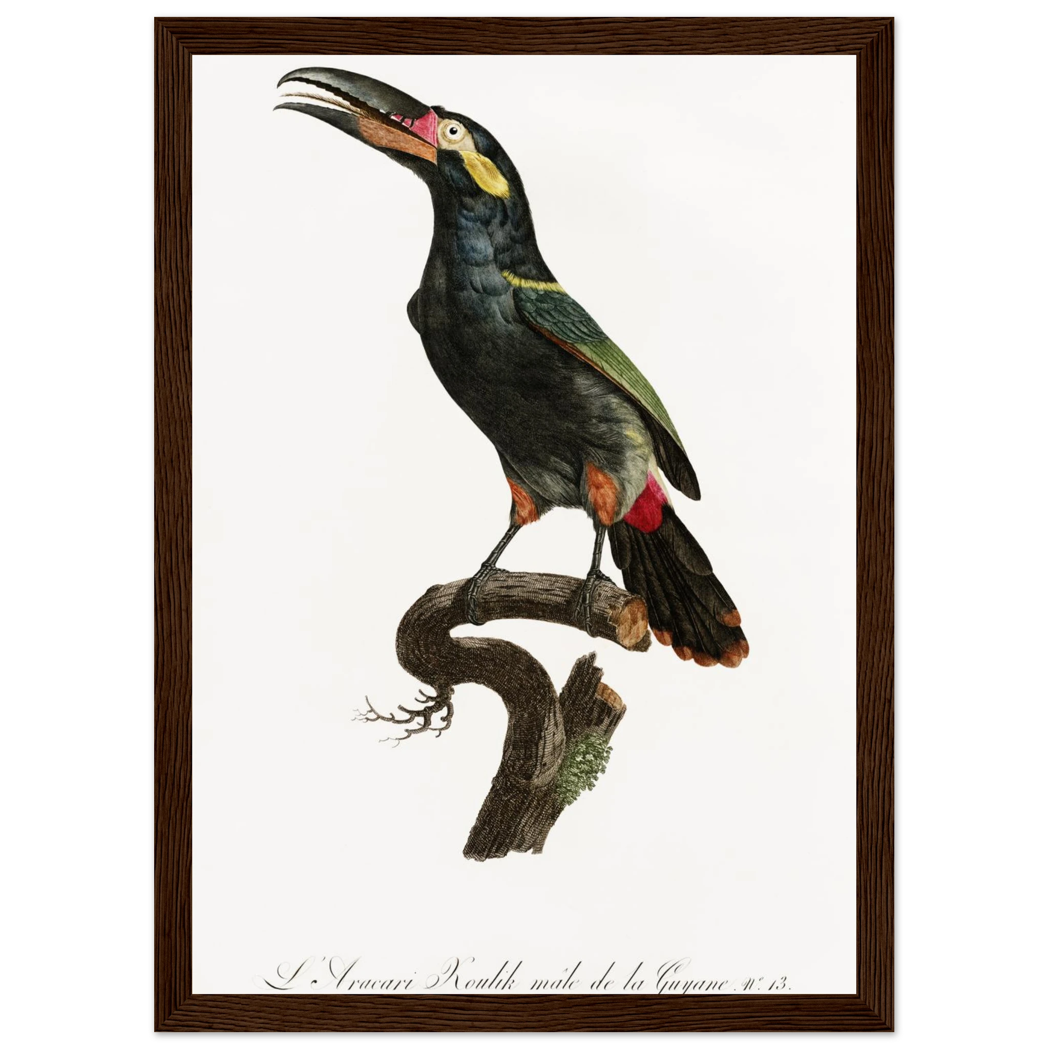 f0a01419-7262-4f6b-b3f7-3707b9a876e6