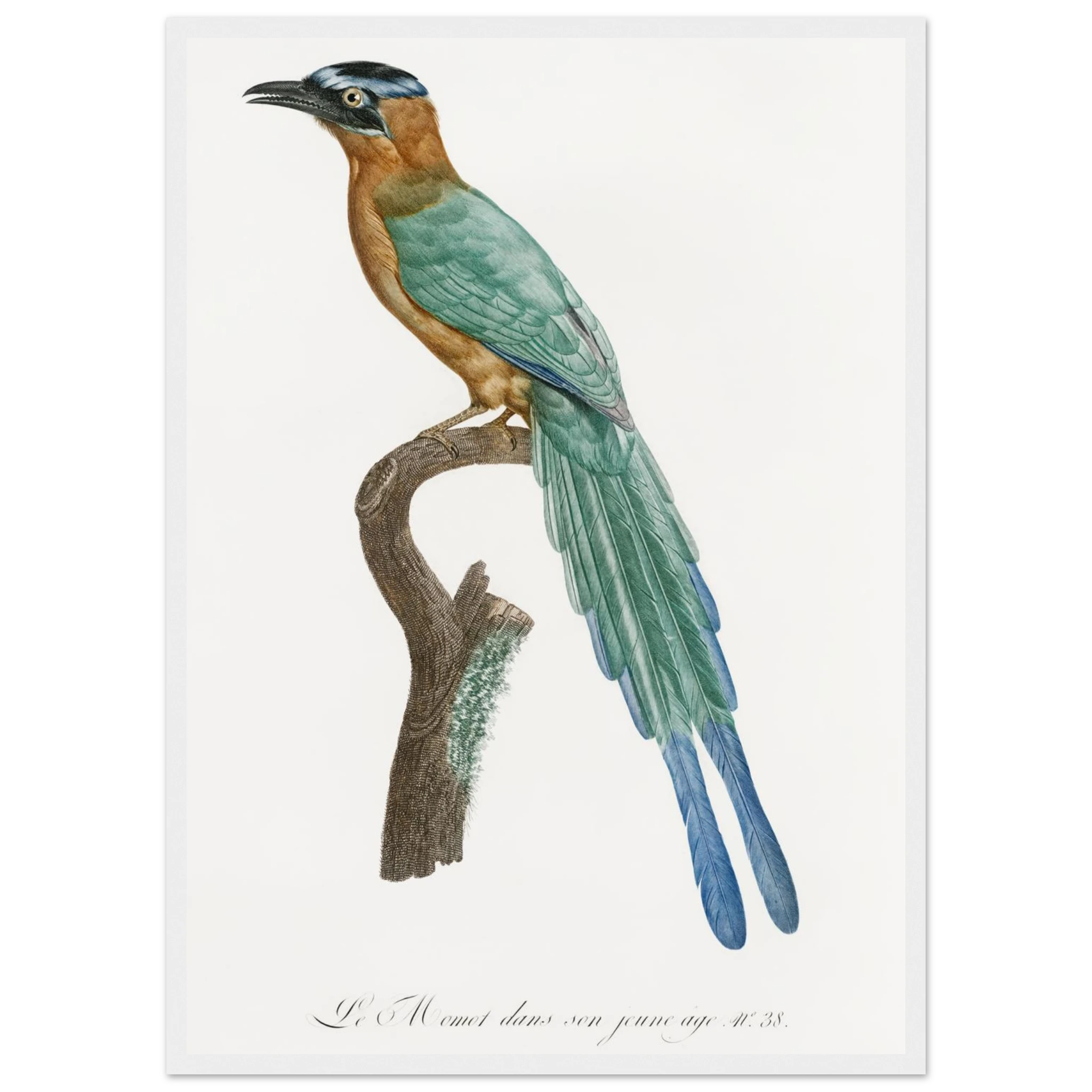 f0c2175f-5c52-4611-b459-8bd5946e99a9