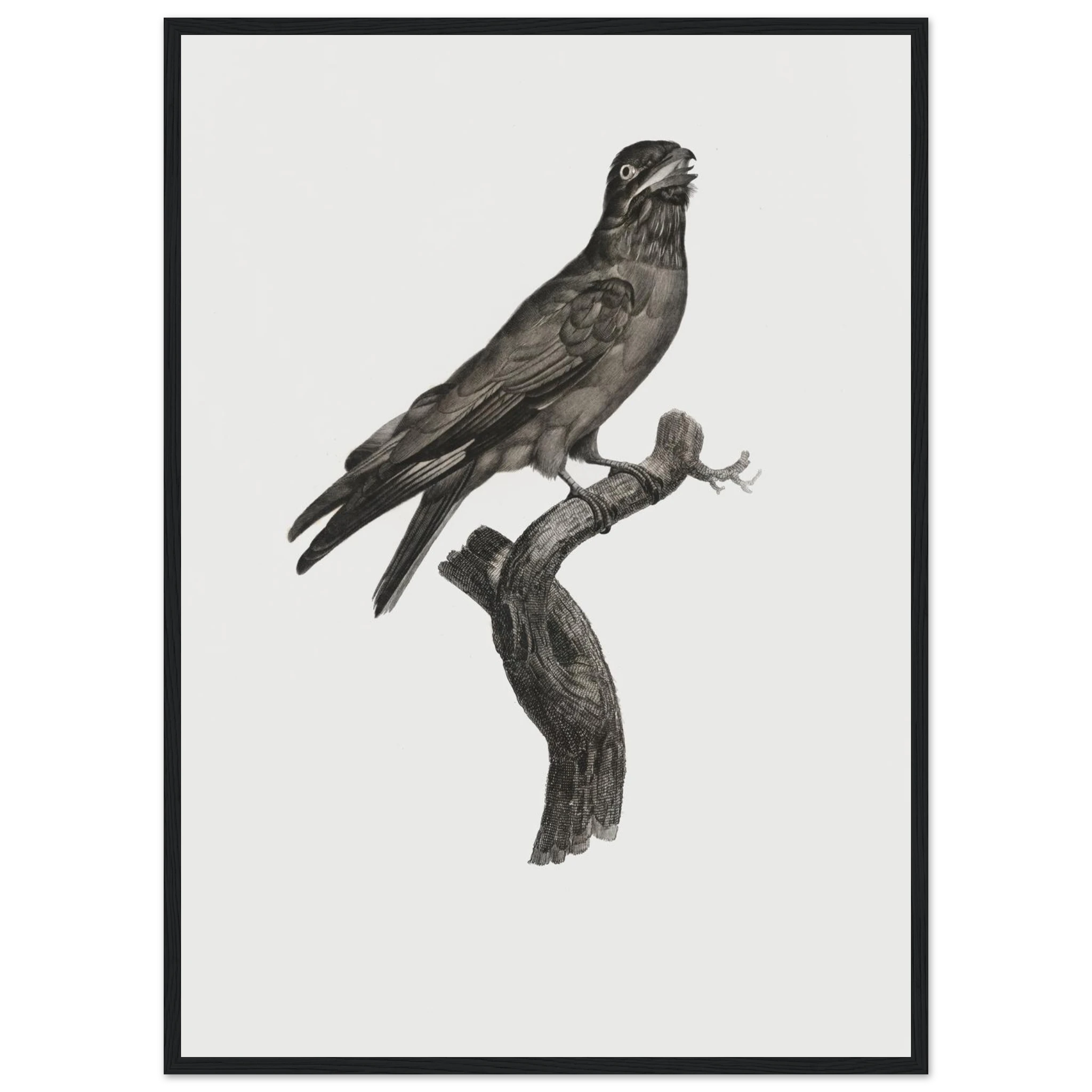 f1011ea7-b302-495c-8c12-88ccd4a38b3b