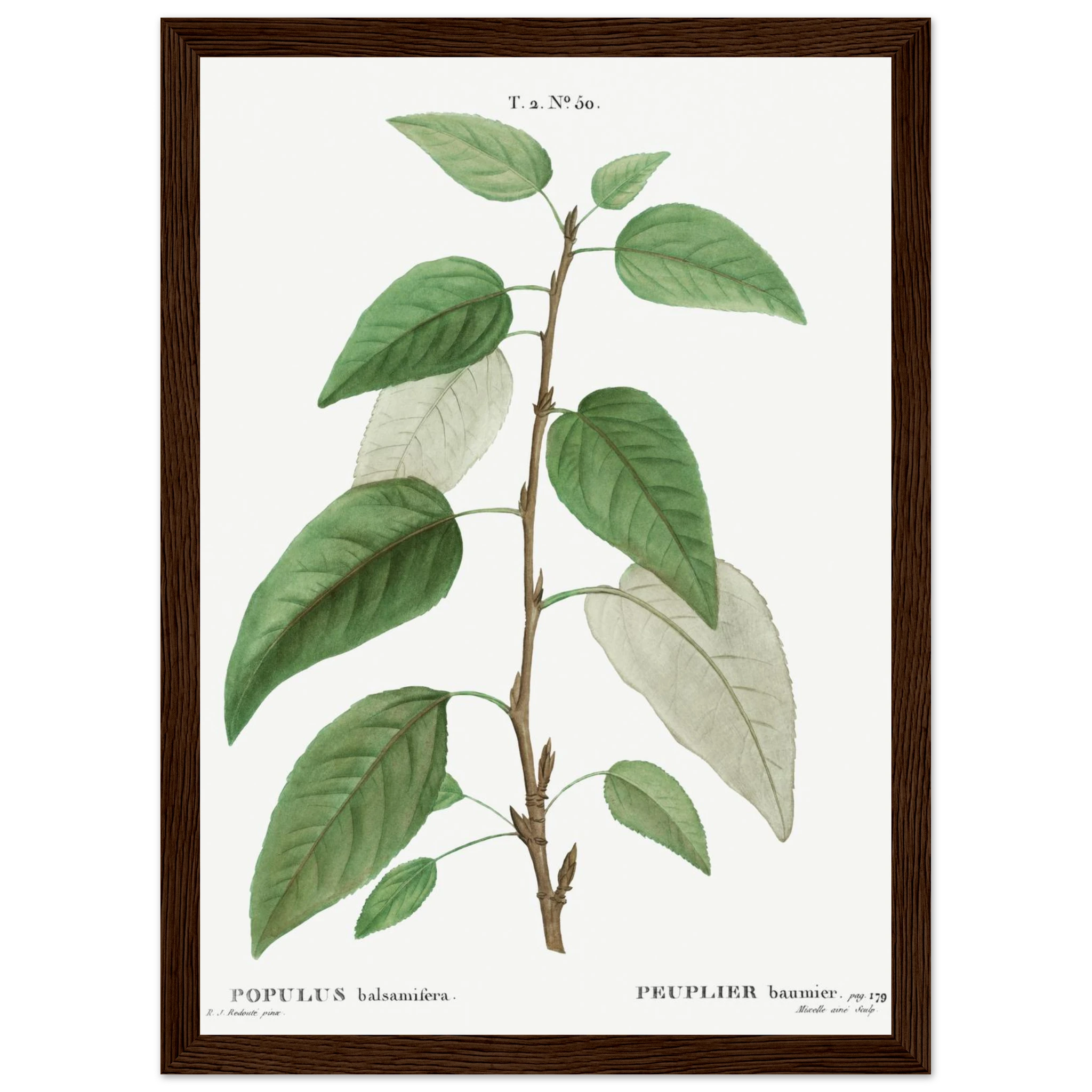 f10f1285-d602-4c31-9cc2-9bca5eb87720