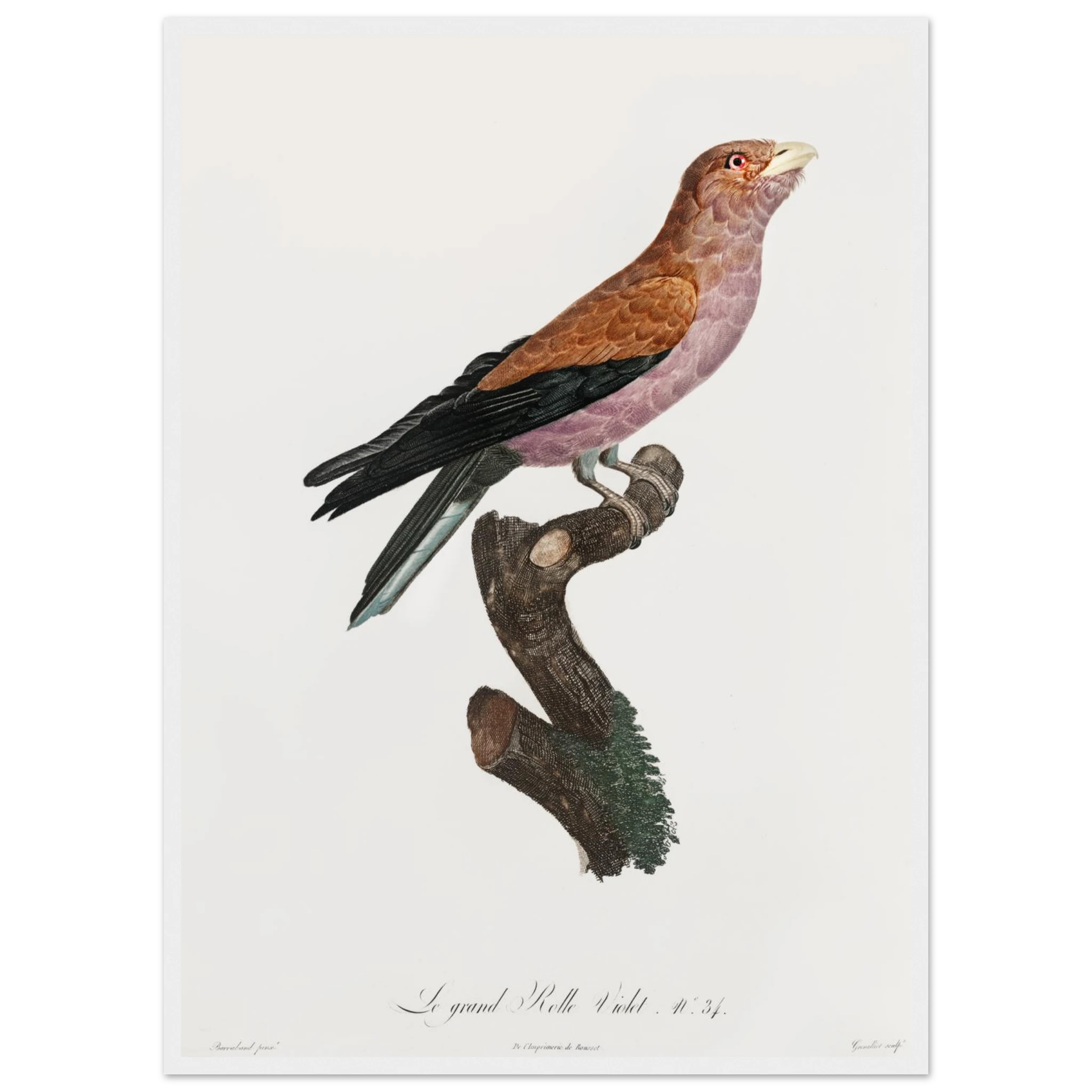 f12d0aa9-4bee-48e4-bc32-890c91c791d8