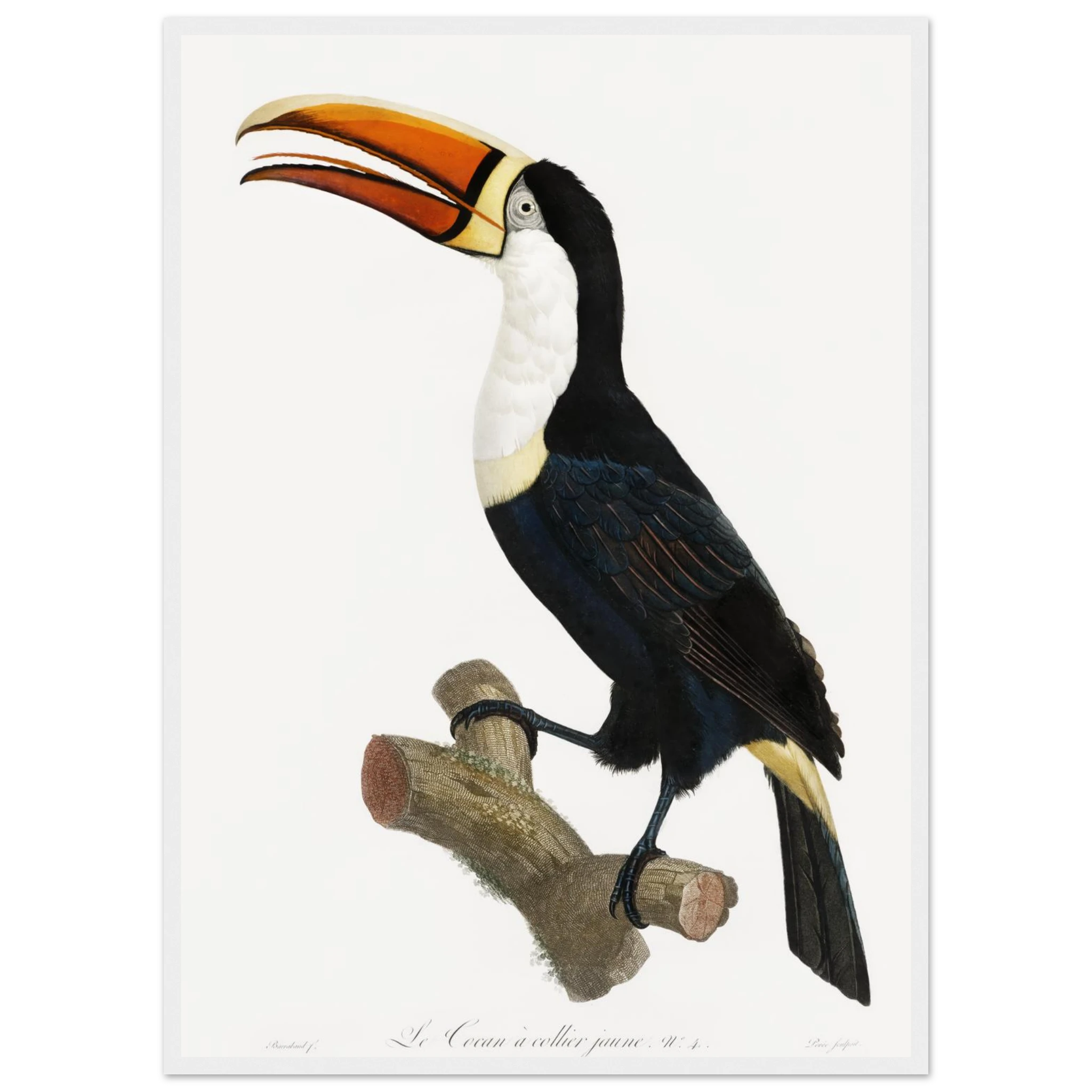 f16a7db1-b096-4c6e-afcc-b732eef06272