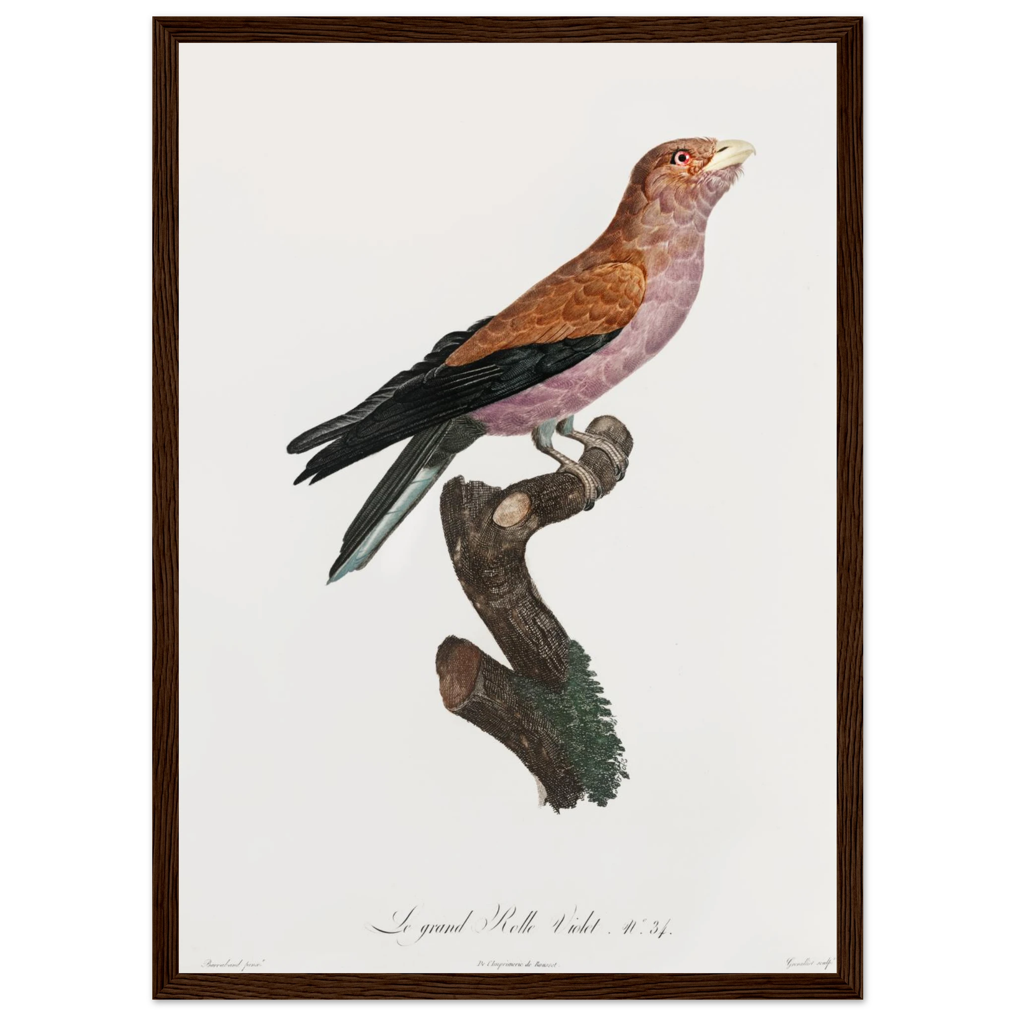 f1700591-372d-423e-b564-989c865d1656