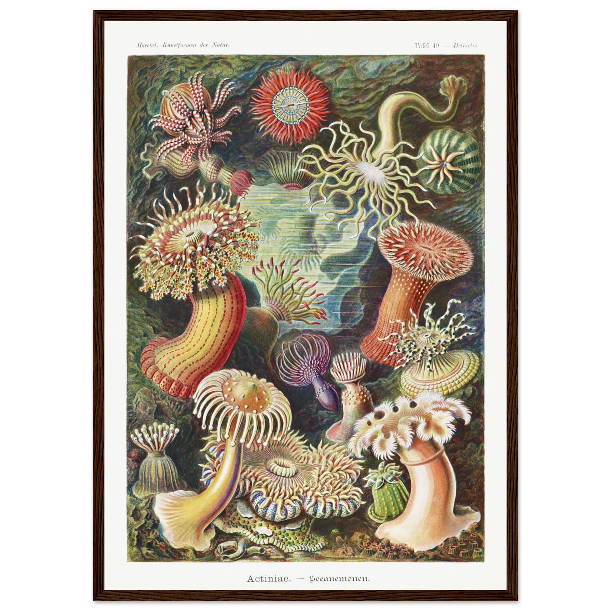 f19dad04-ca96-48df-8135-203f29e513ba