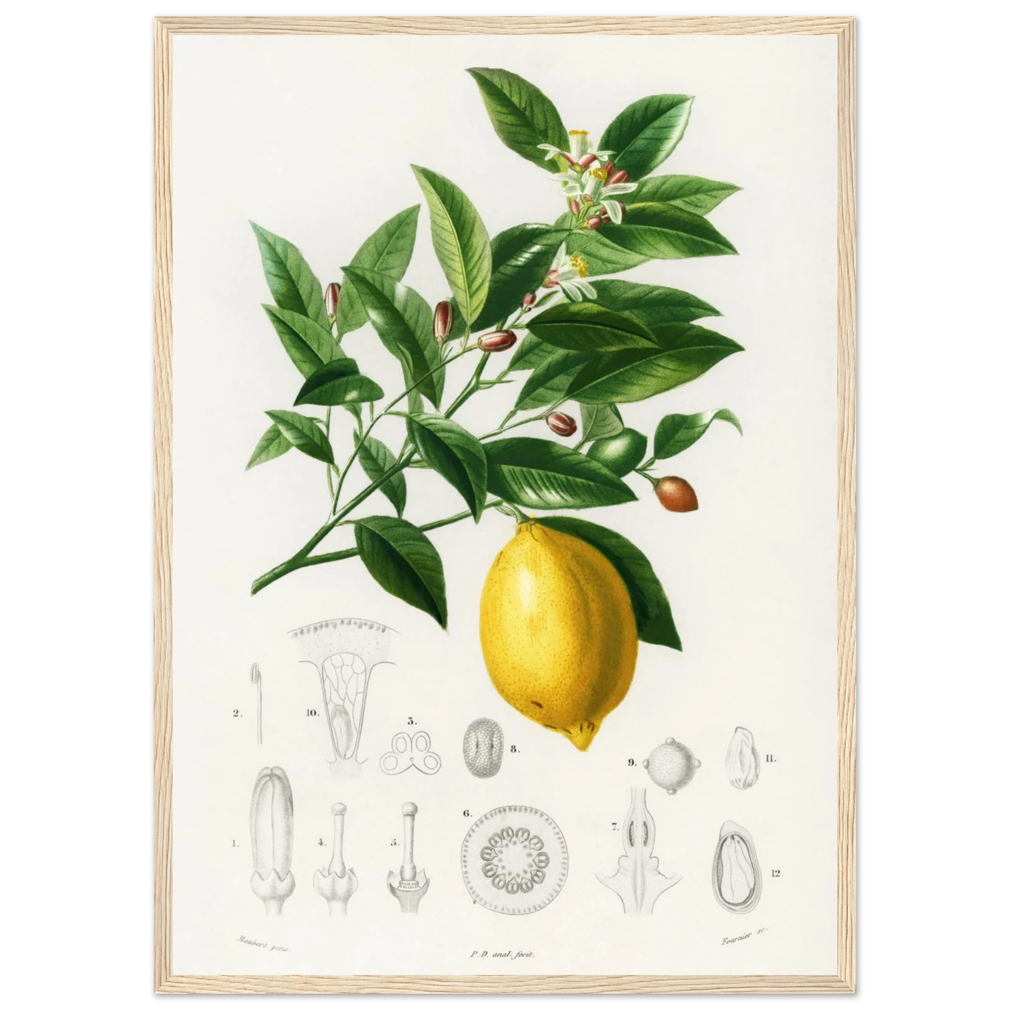 f1d75b75-ba85-4fb0-9cef-c7f8057ce515