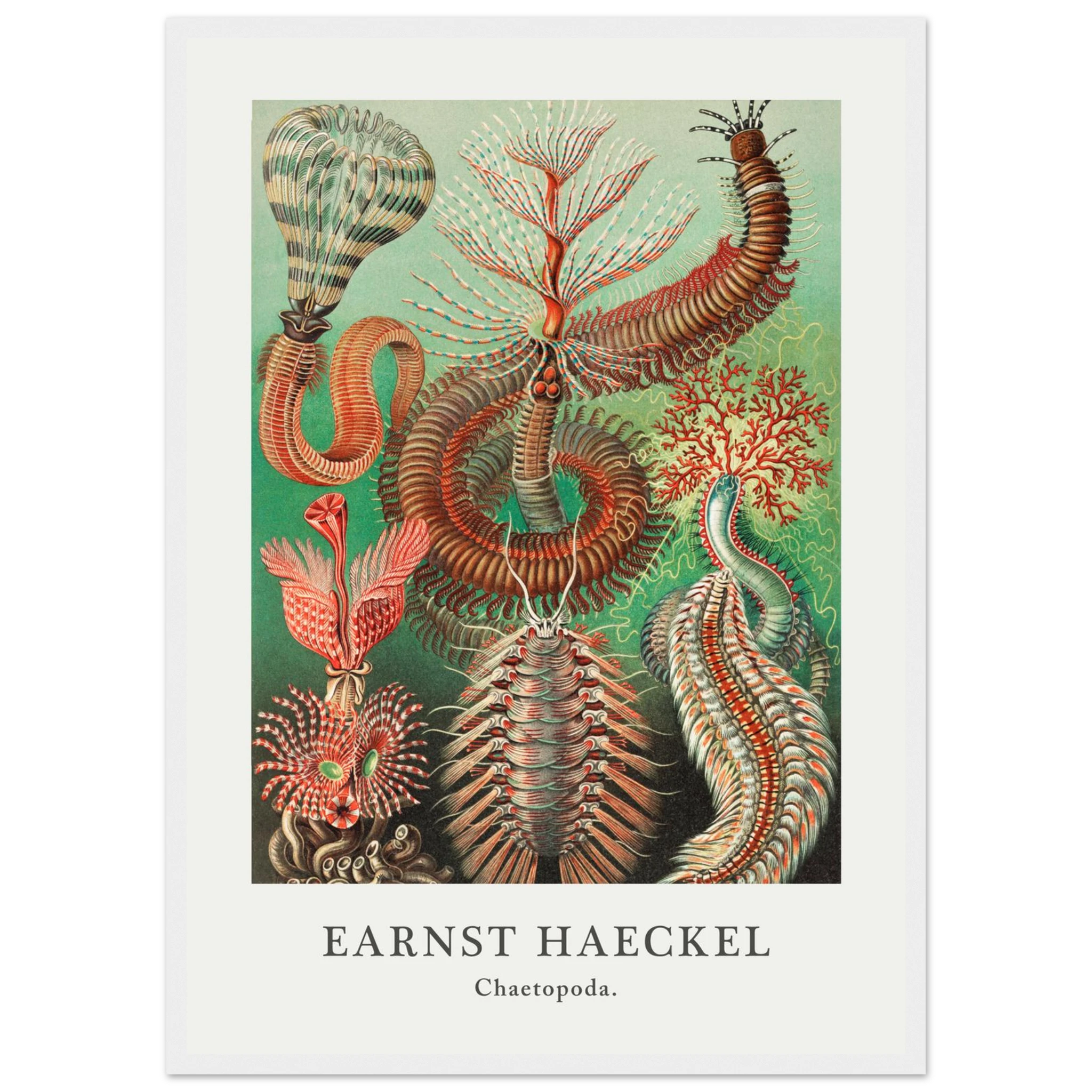 f2039119-a54a-4fff-8bf7-d043bfb96fd8