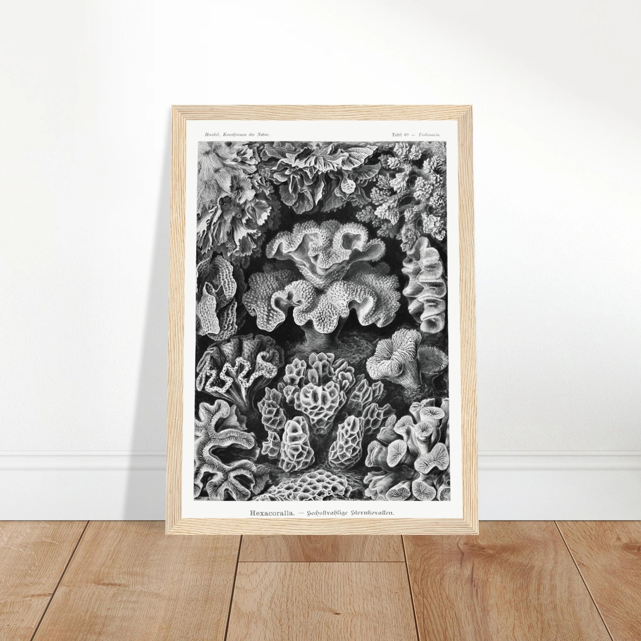 f210b5f2-e54b-48e7-a66e-b9519db0a238