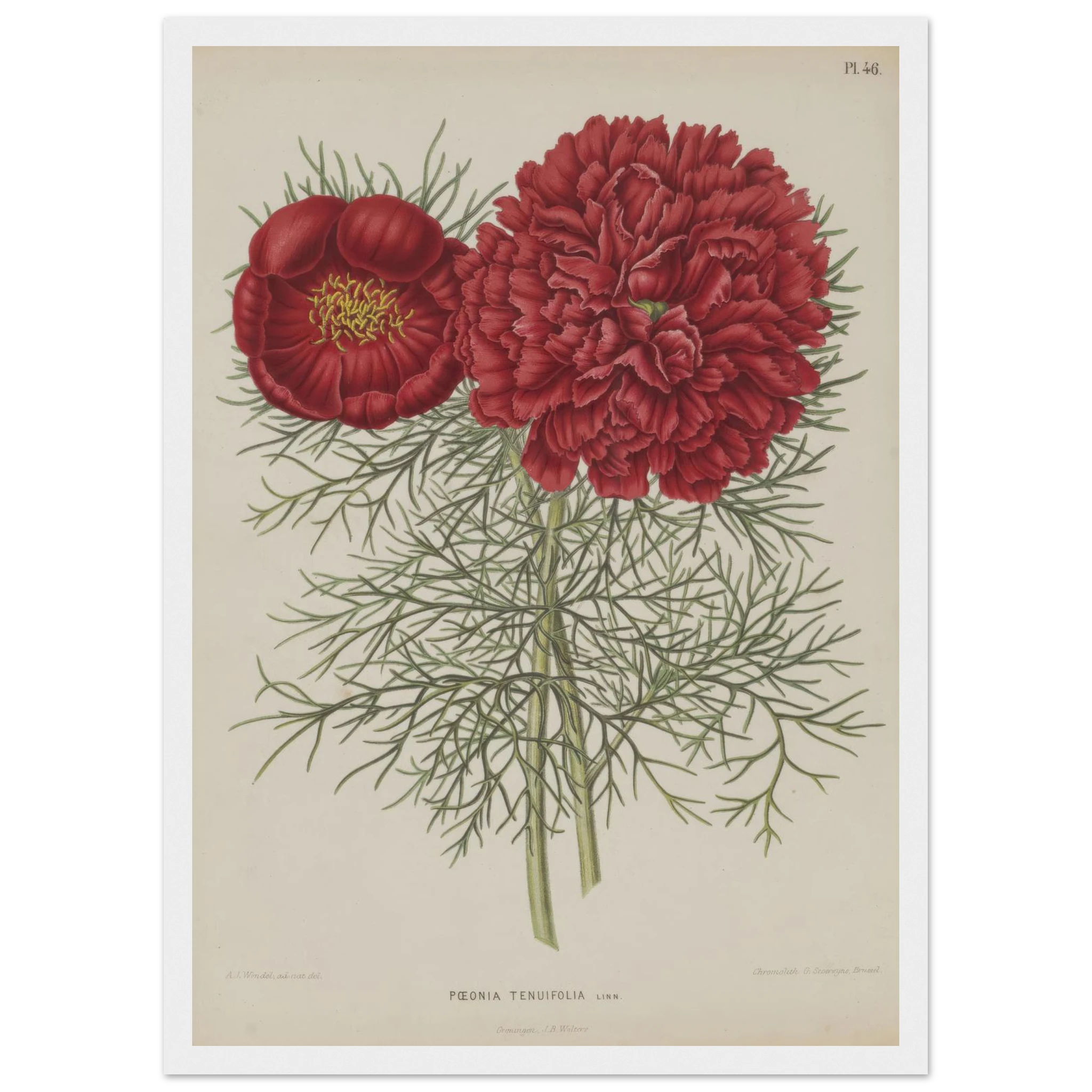 f2228b66-8eb6-4b67-8877-48e2929562d2