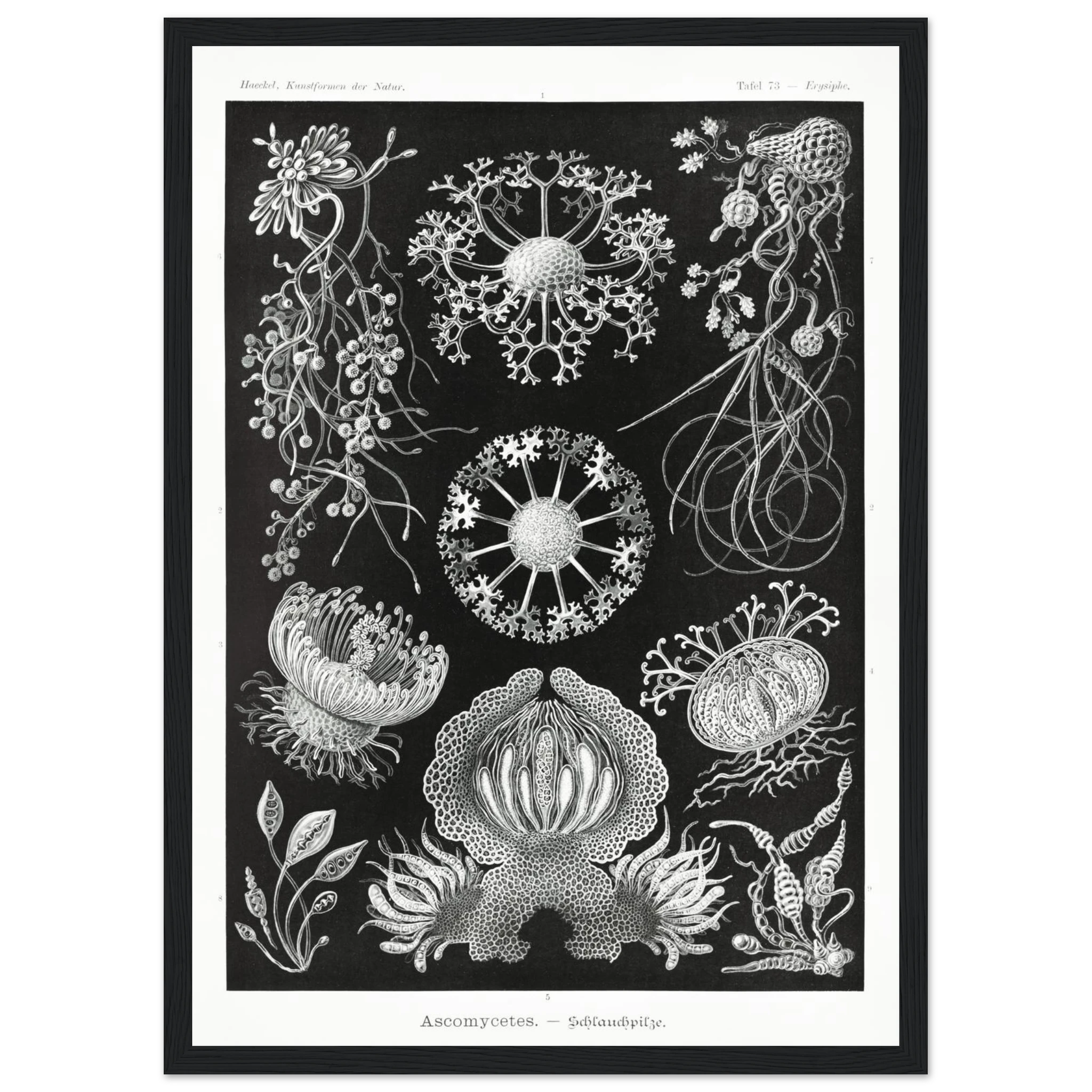 f251daf7-b05f-48ff-ae71-ef18d091895f