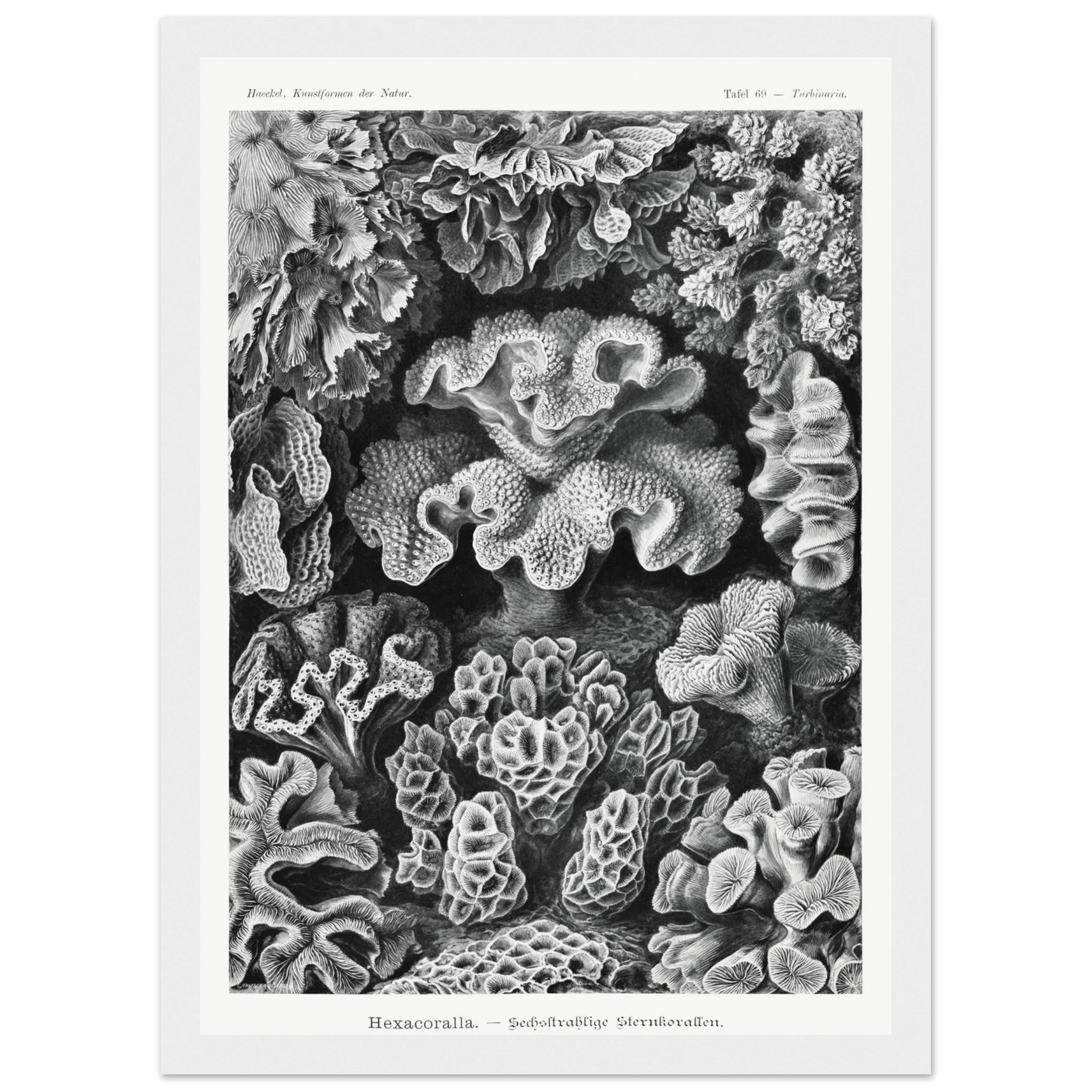 f268219b-aa93-4e37-a186-0b4edeb63b48