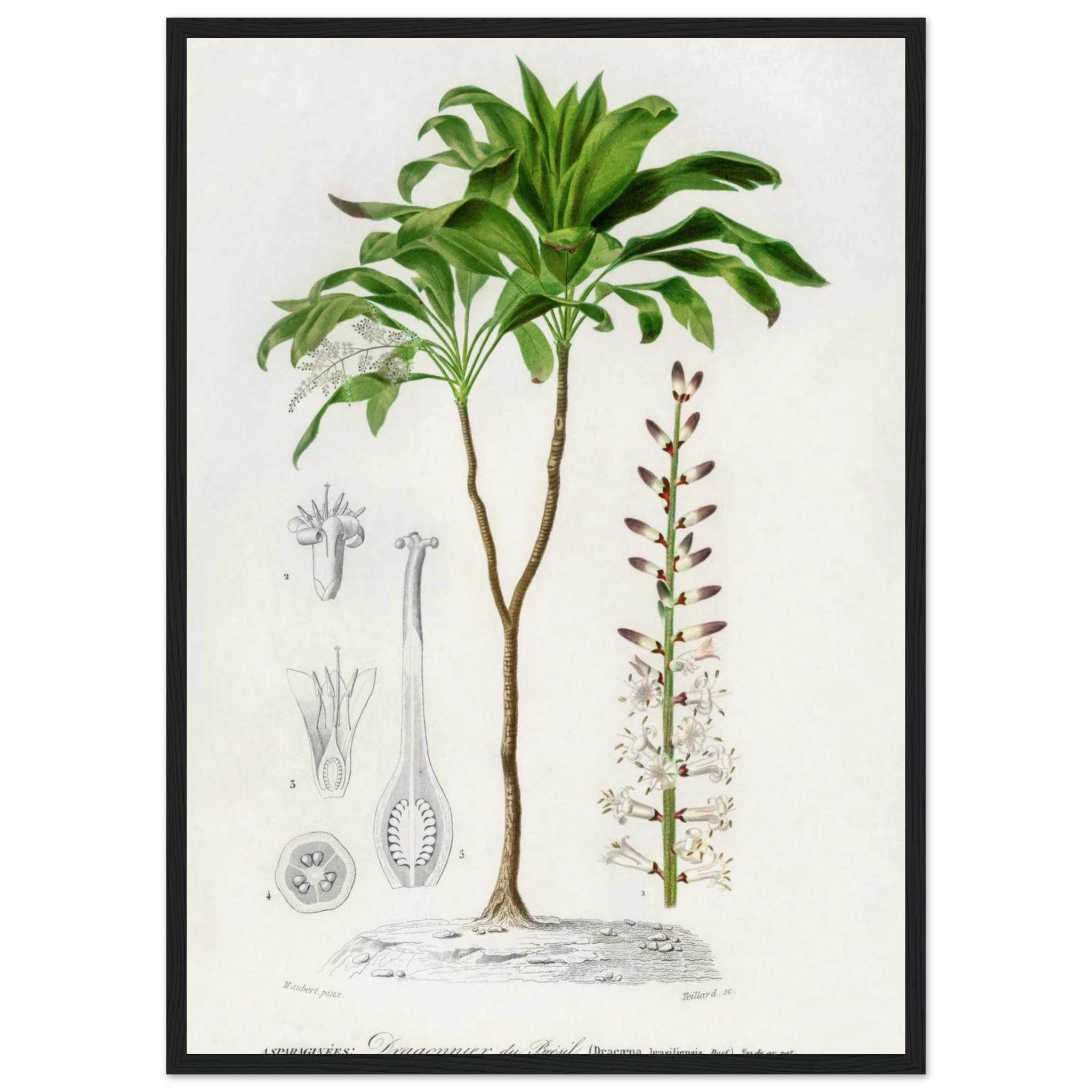 f3259f75-46c1-4bd9-aff6-ea783953bd2a