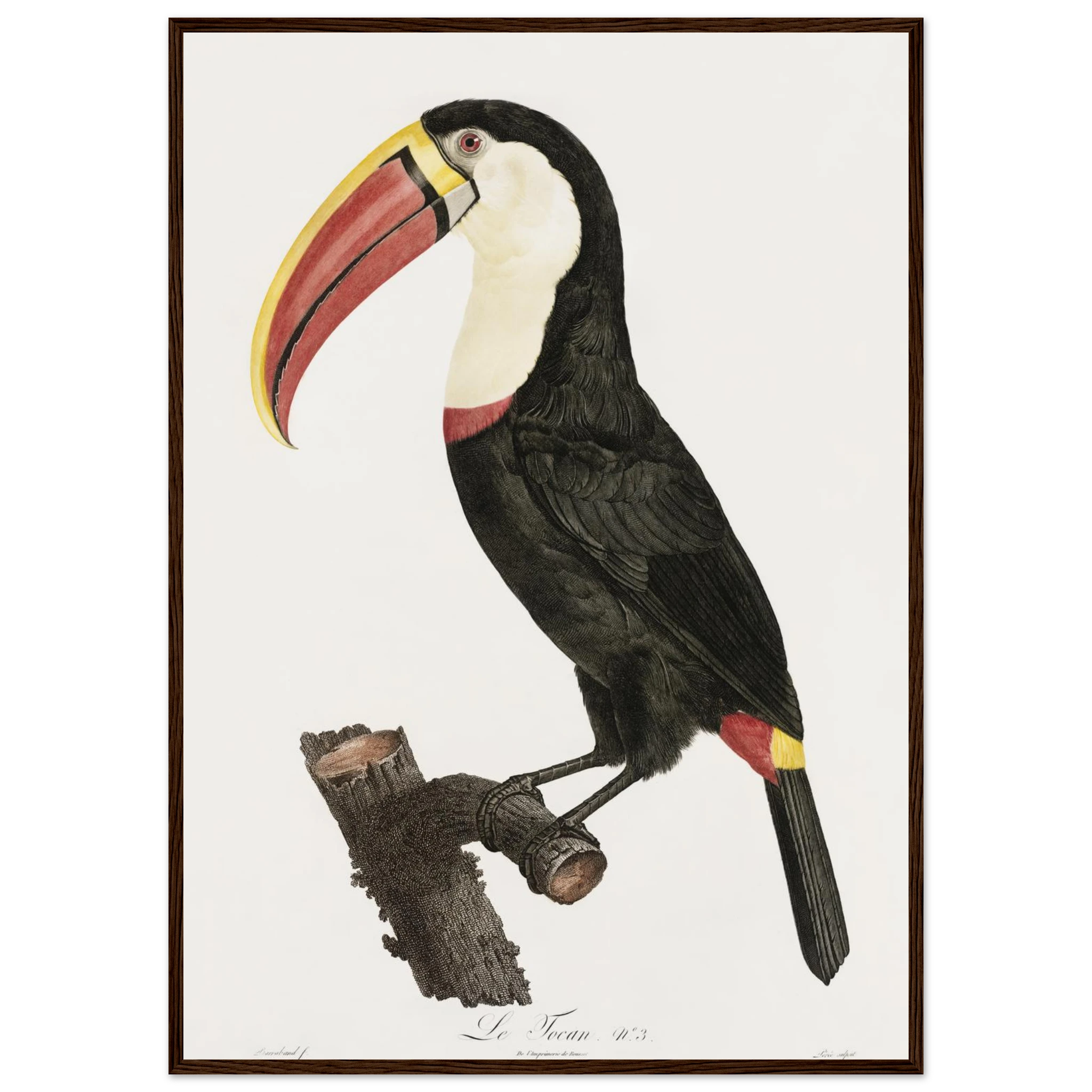 f337e793-92d5-4a00-908f-aca2bf27606e