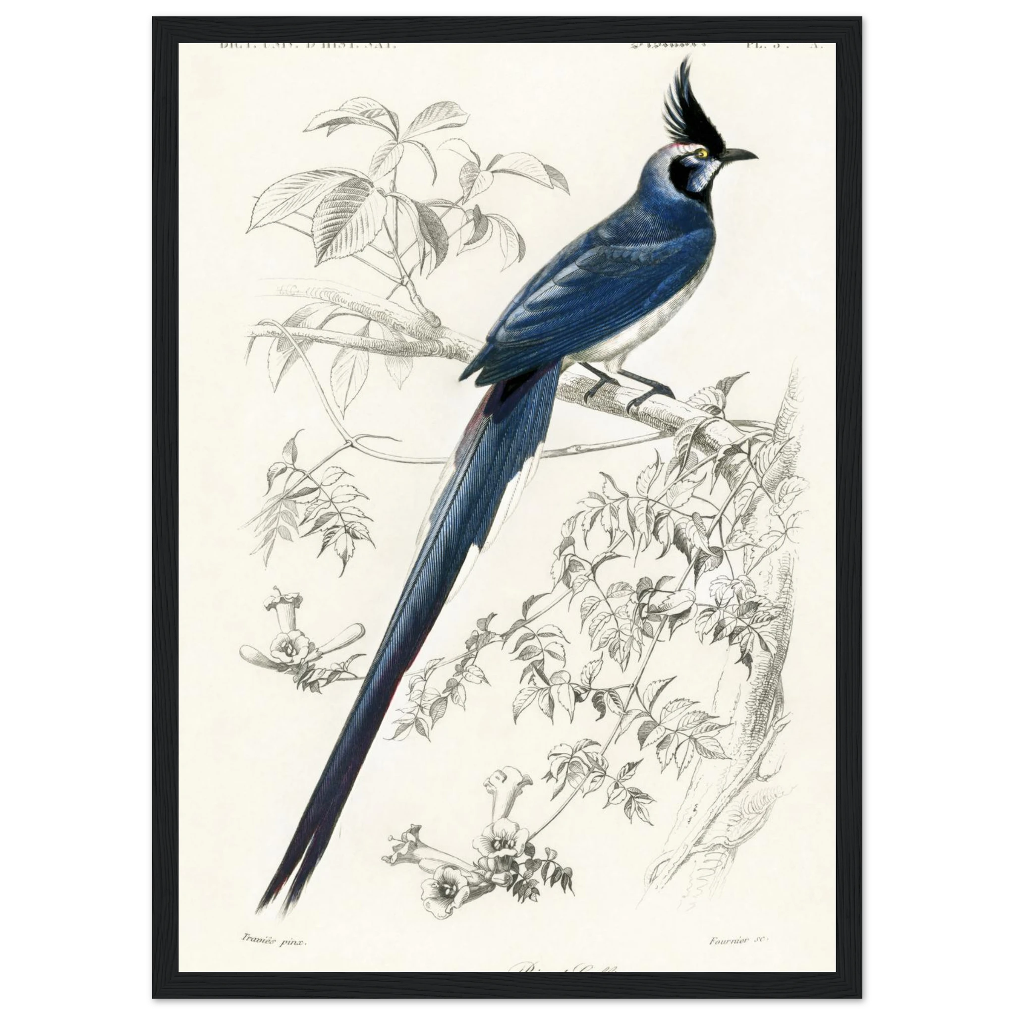 f3399438-ef95-4882-b043-c6106d2531cd