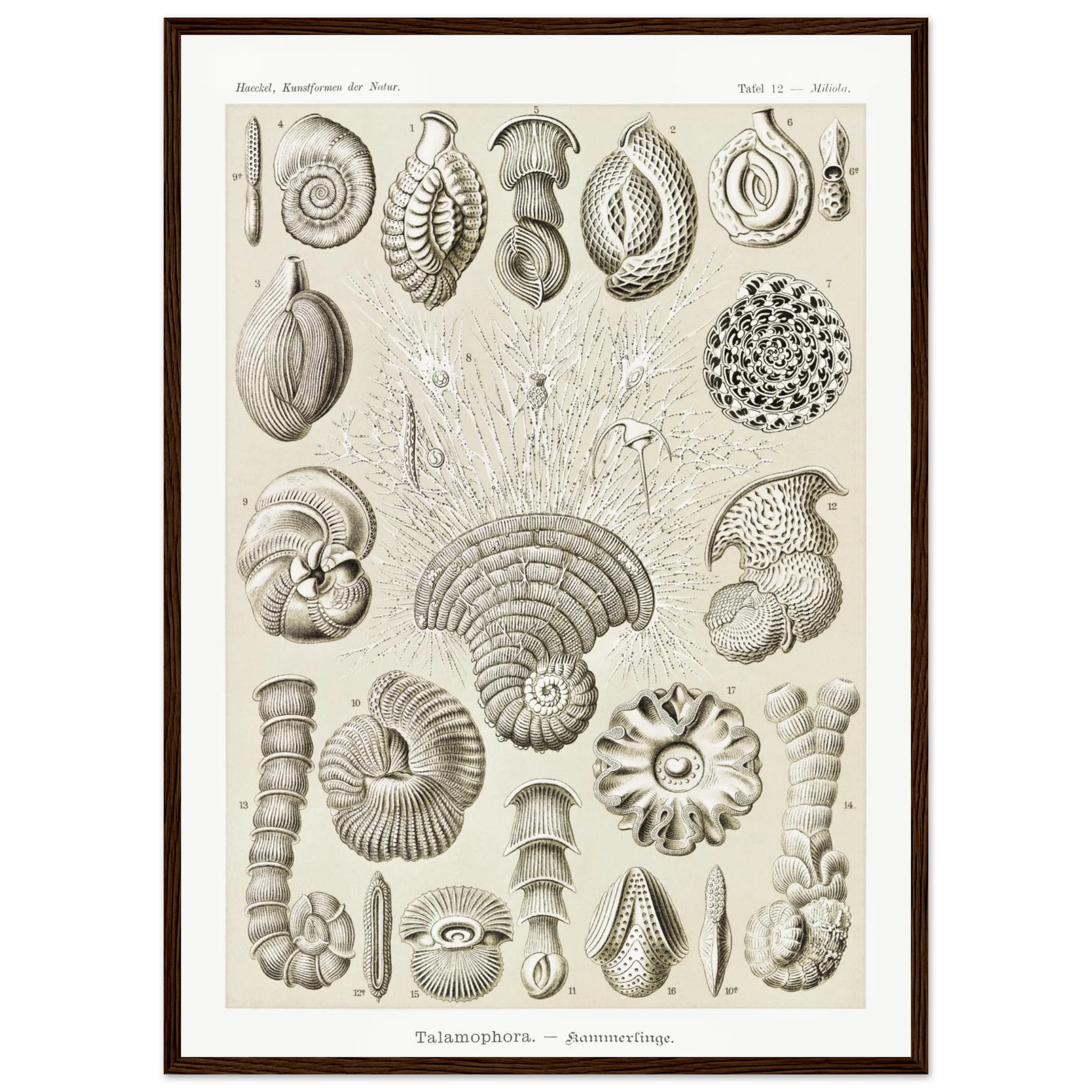 f38ab469-ce20-4446-80ca-318cf5eb7ba5