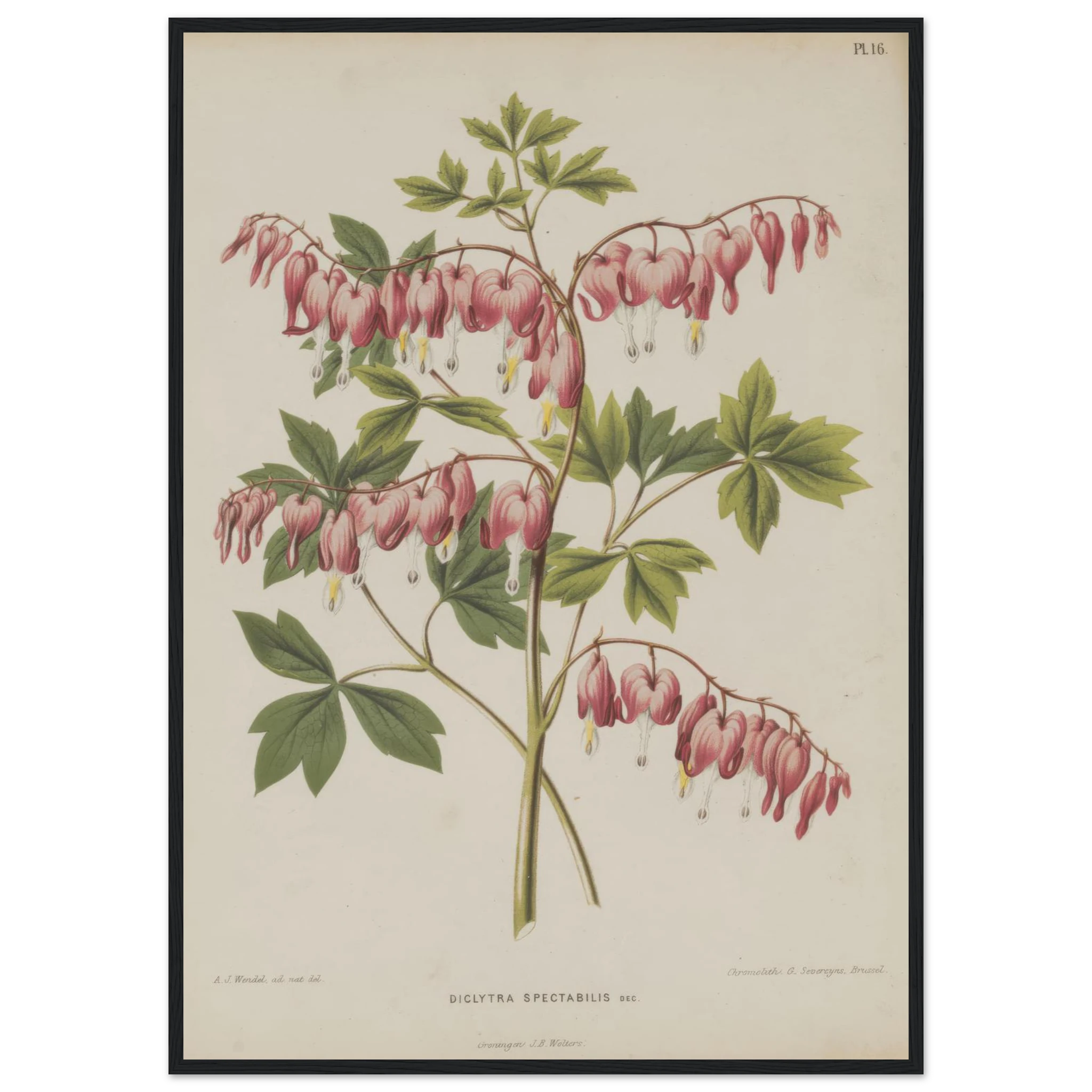 f3f00185-66fe-4a35-9126-d19c0b78577a