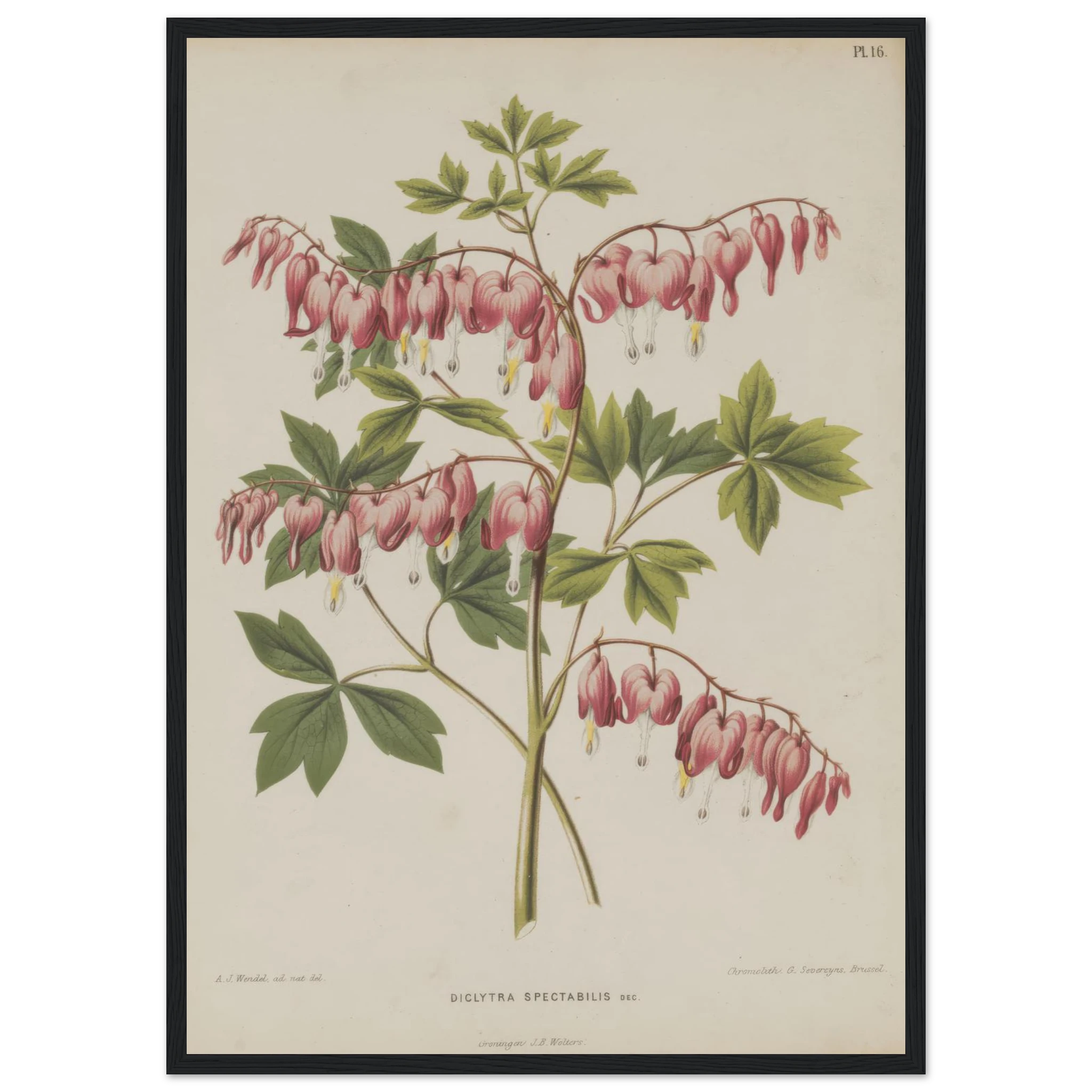 f4264ba5-3b4b-4330-a71e-ef59feb3a7fe