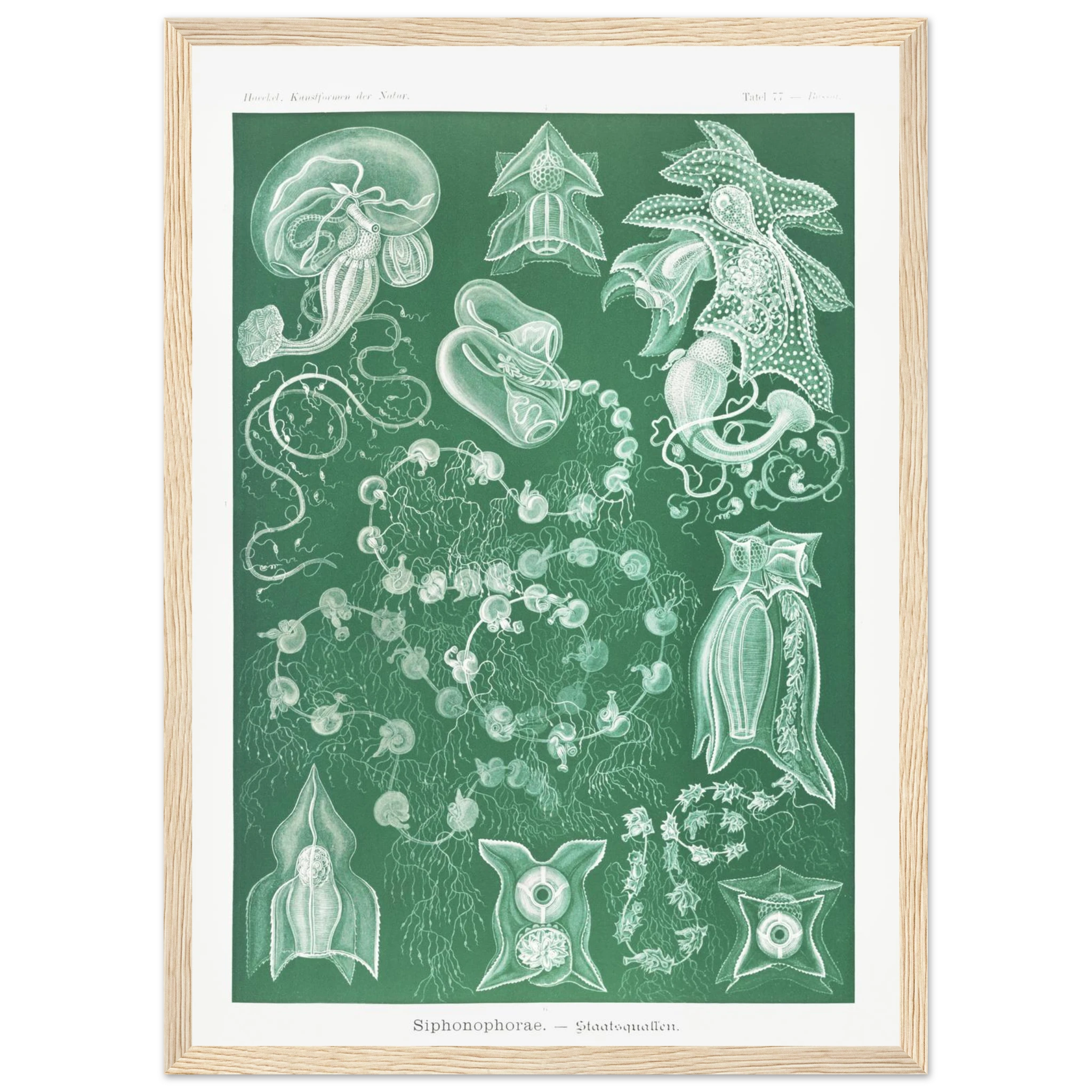 f442f5db-4f22-4b89-b8d4-63dee0e37ddf